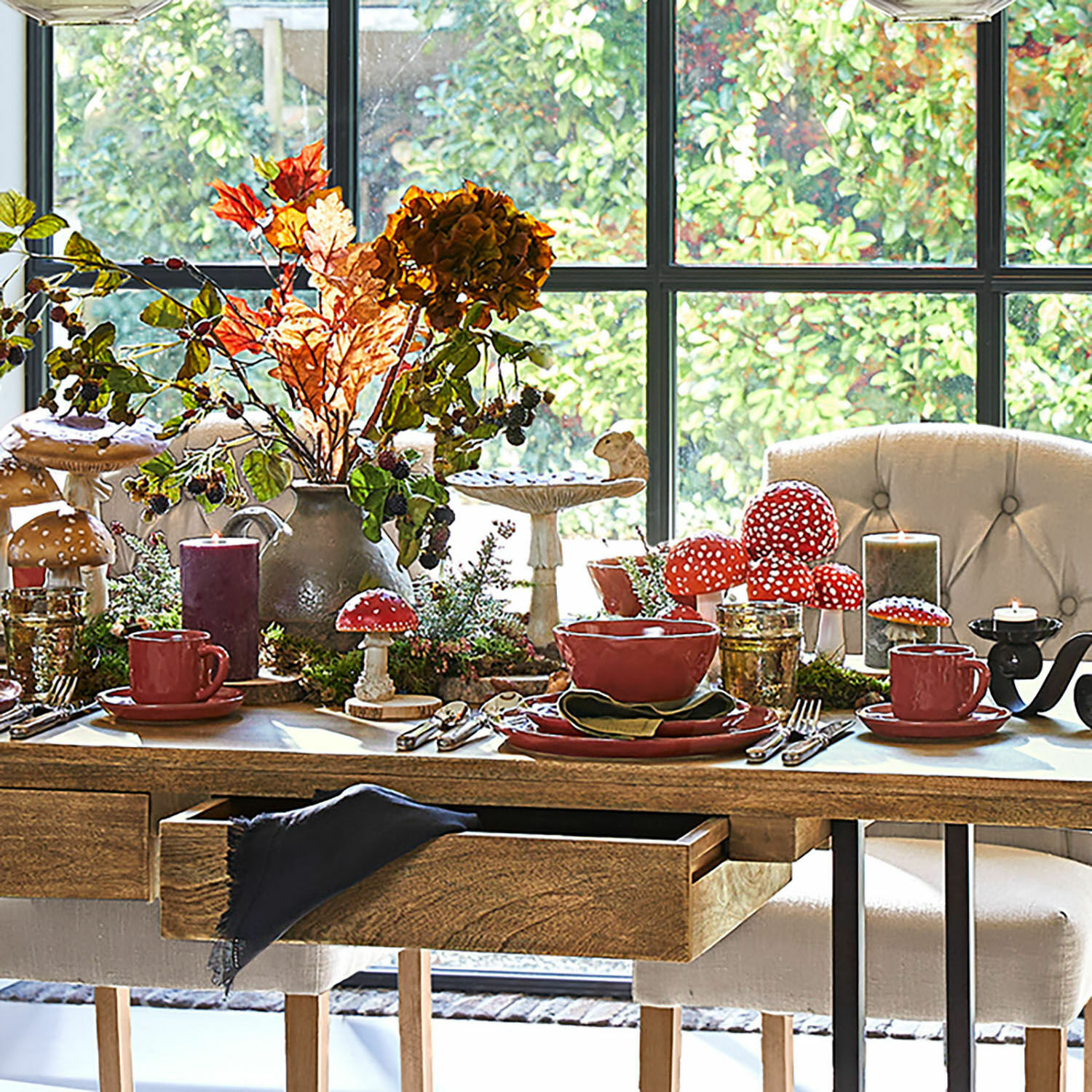 Sierpaddenstoel Isolise