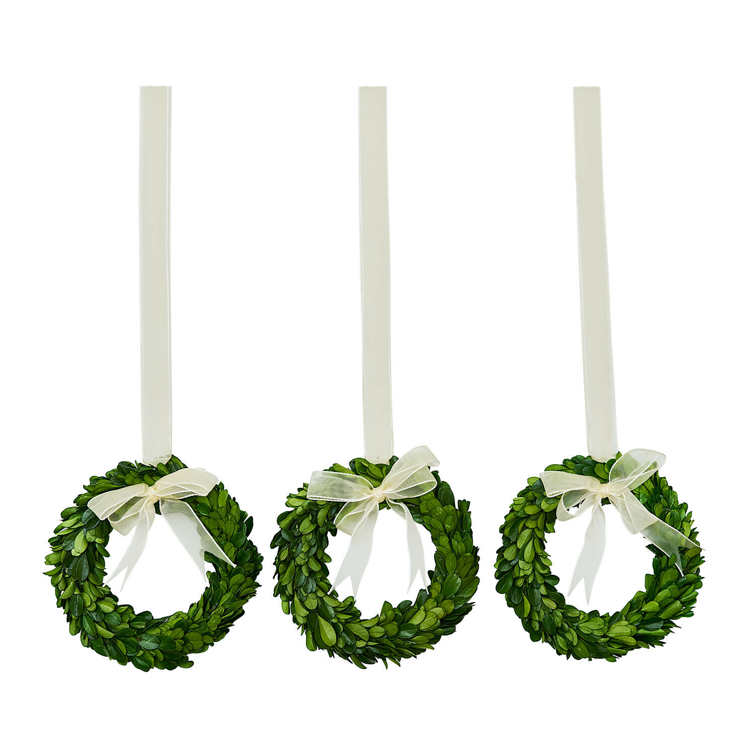Drie groene kransen van bladeren met witte strikken en linten om op te hangen, feestdecoratie