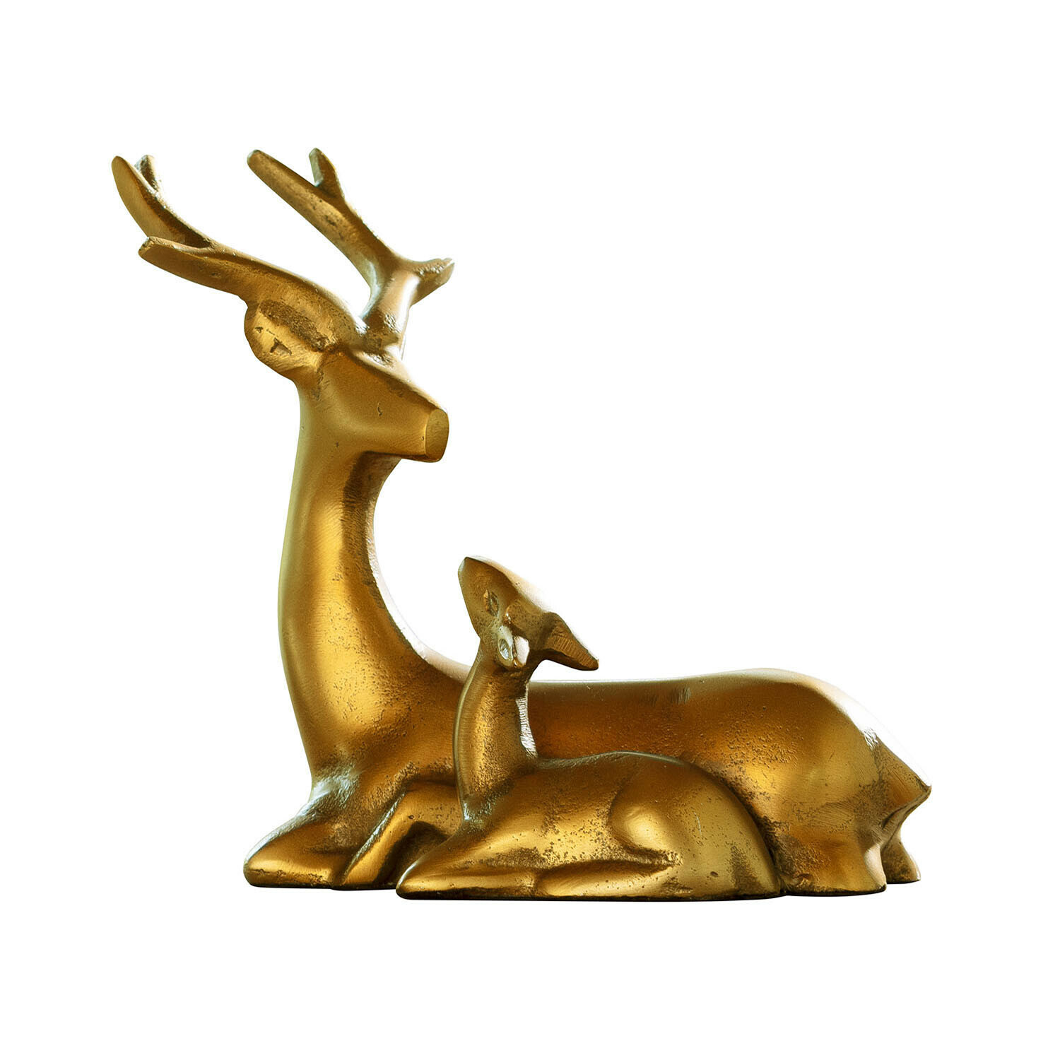 Ree met kalf Tiralee