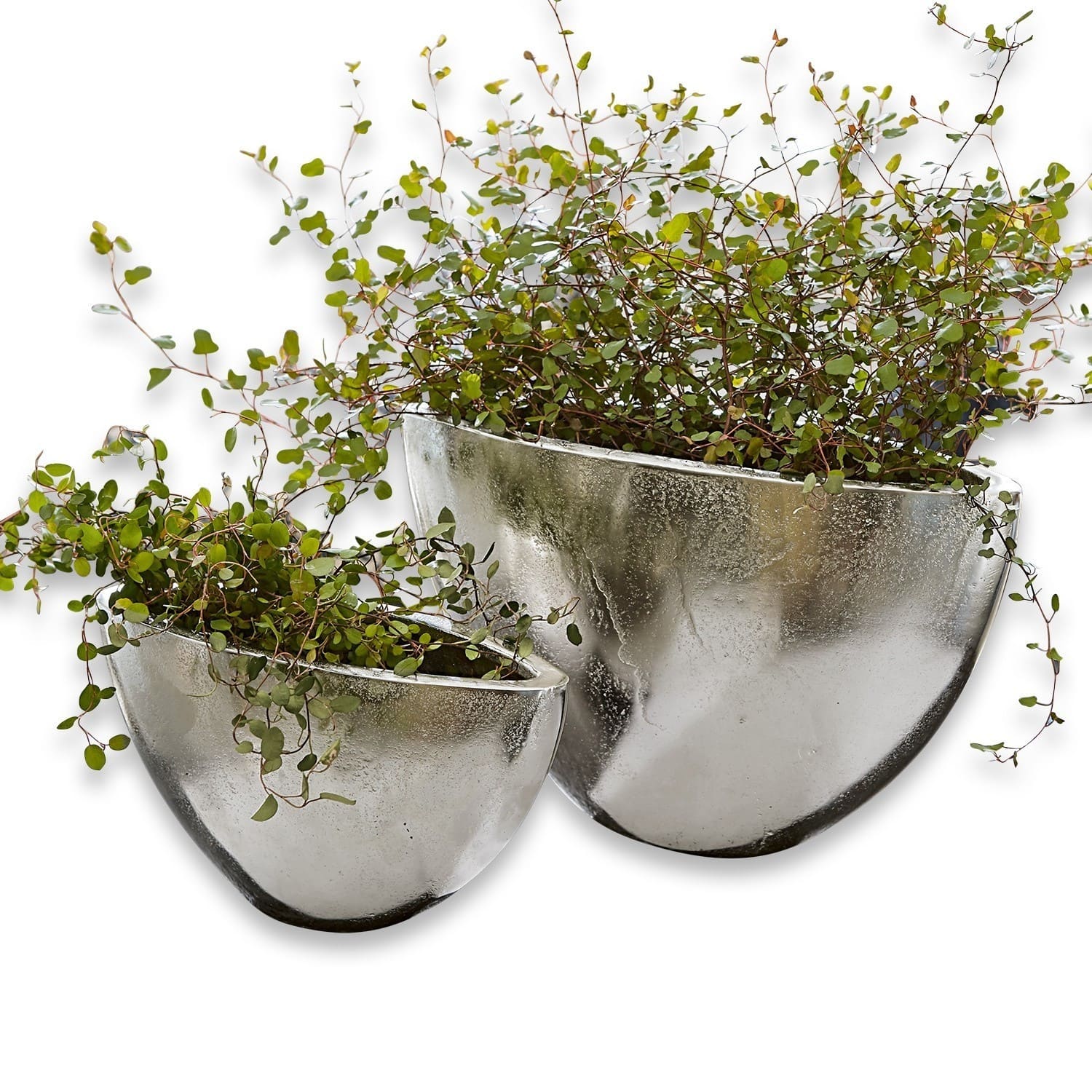 Sierpot set van 2 Suré