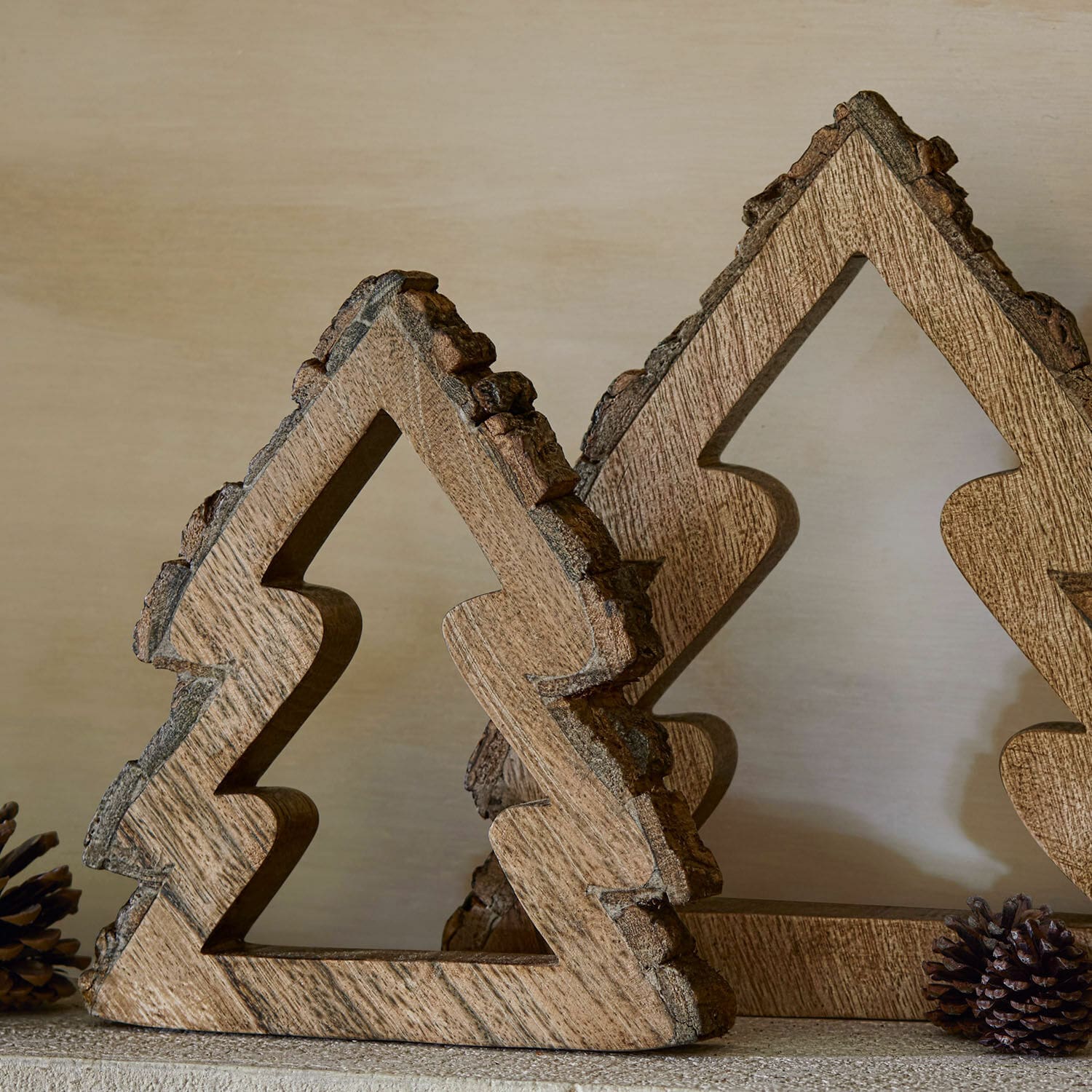 Sierboom set van 3 Raymond
