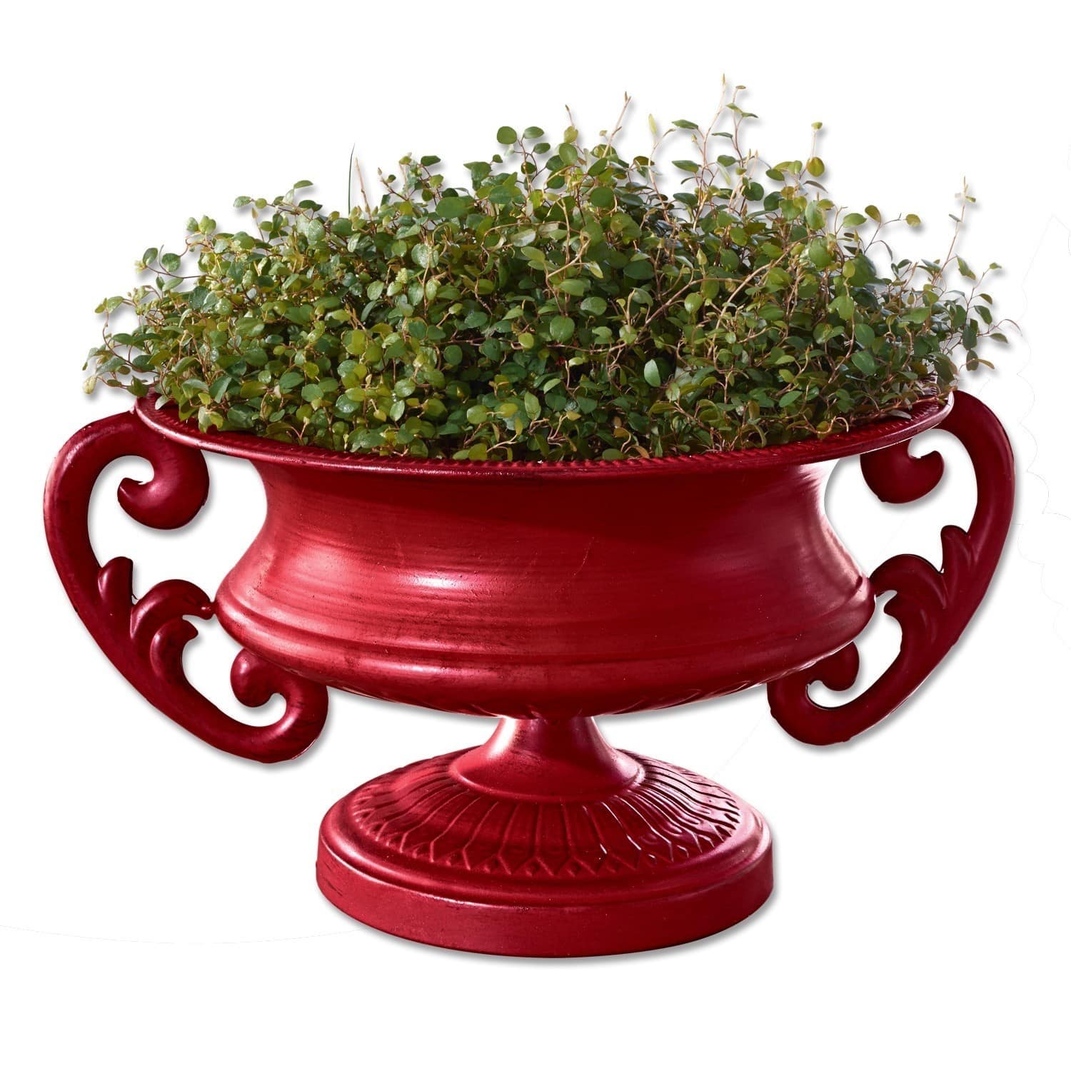 Sierpot Étaville