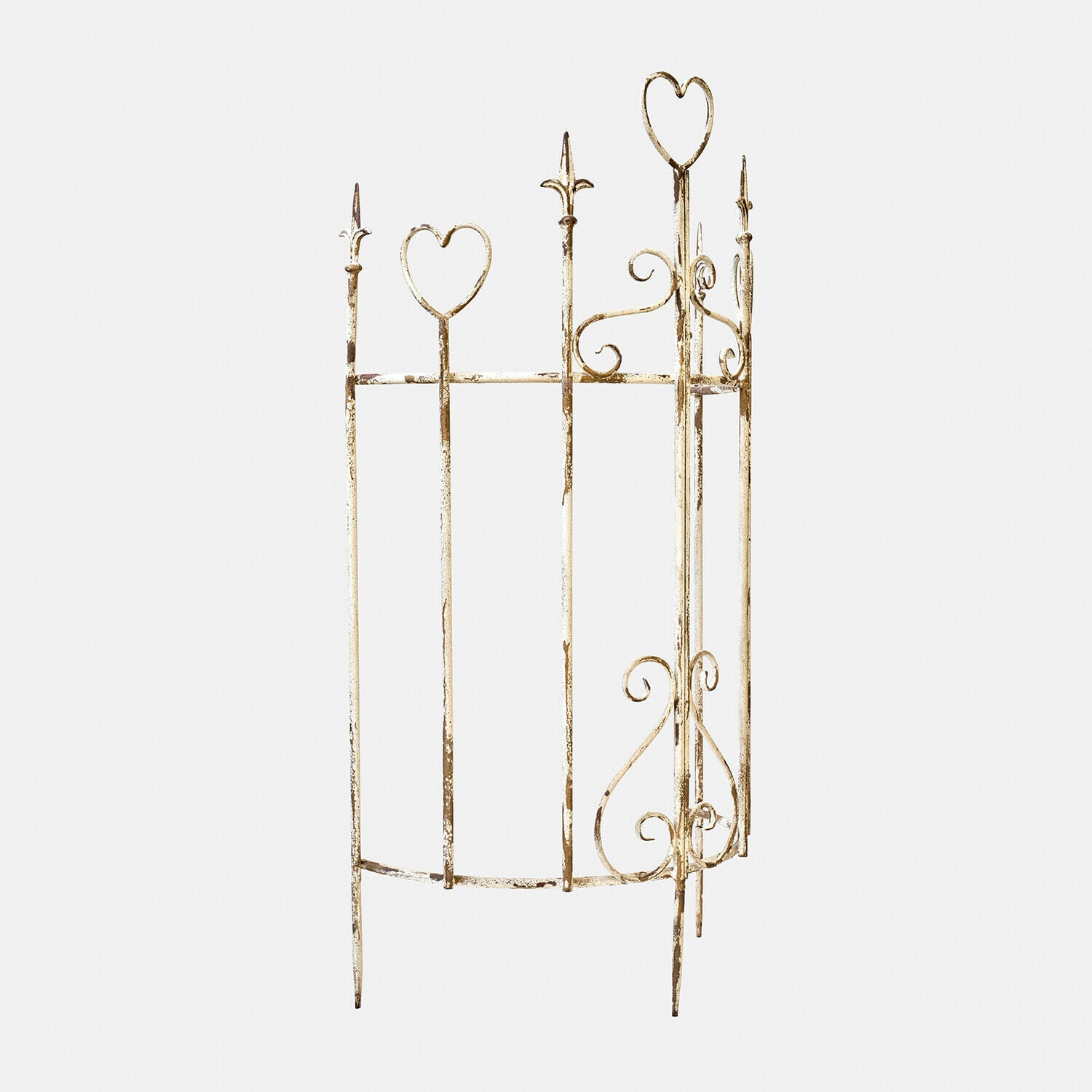 Klimplantenrek Iveralia