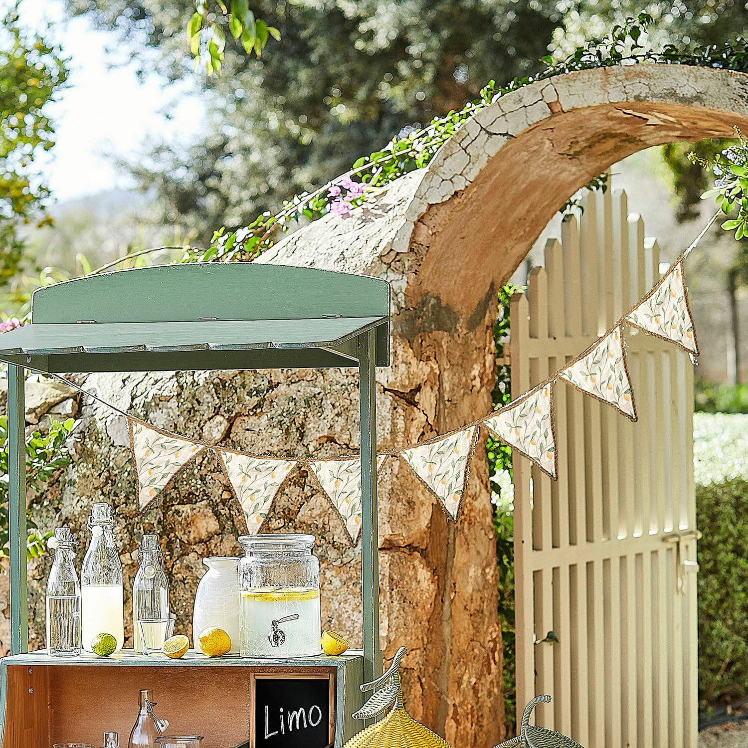 Vlaggenlijn Aelindria