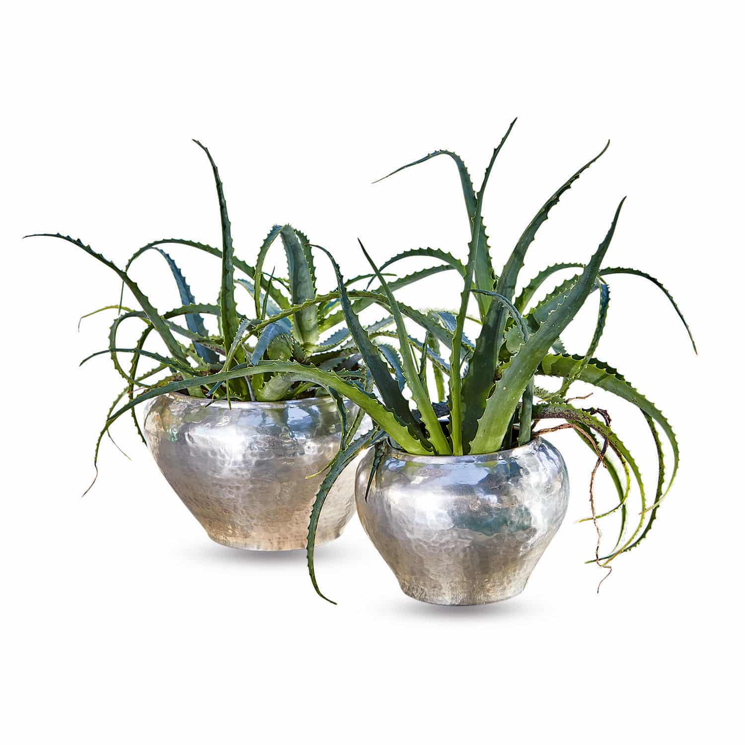 Sierpot set van 2 Liva