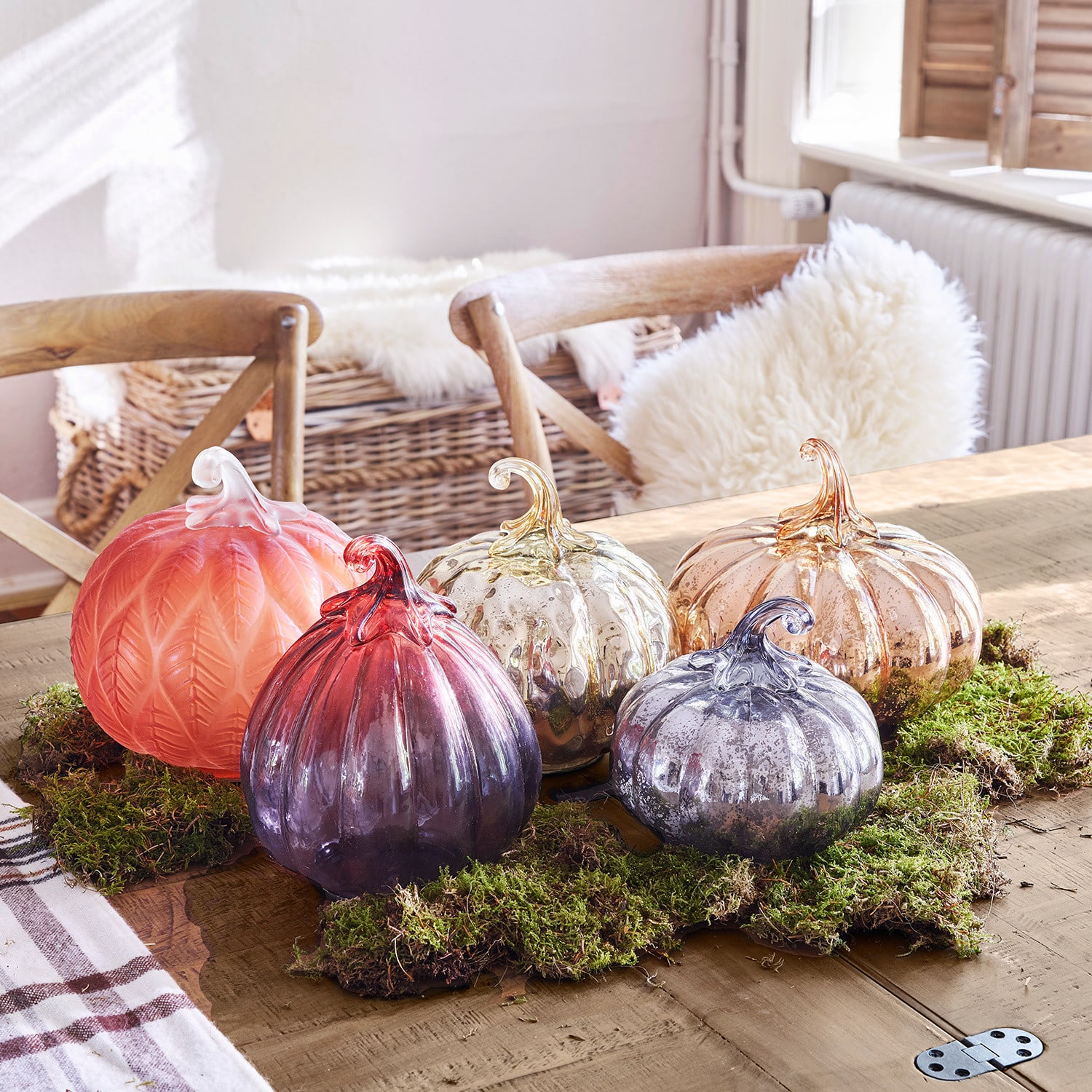 Pompoen set van 5 Lorenz