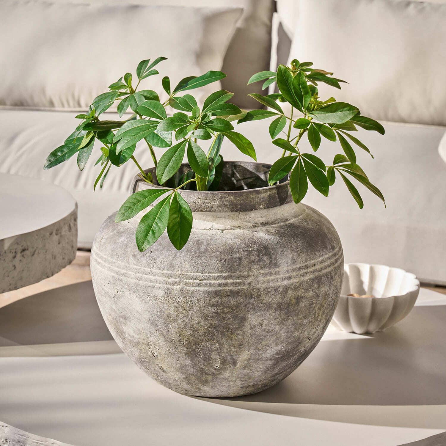 Vaas Haldoríe Ronde grijze stenen vaas met groene bladeren op lichte tafel in modern interieur