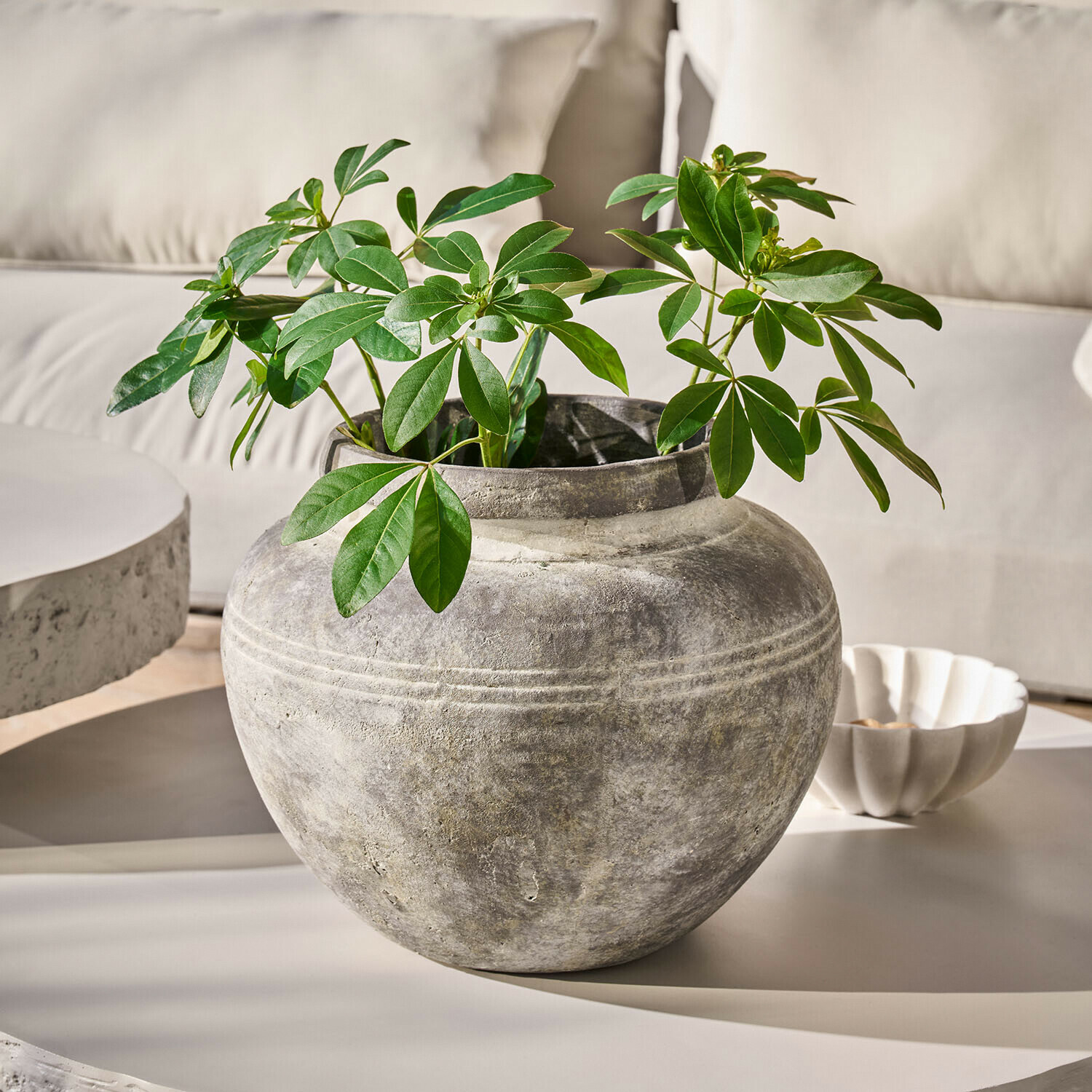 Vaas Haldoríe Ronde grijze stenen vaas met groene bladeren op lichte tafel in modern interieur