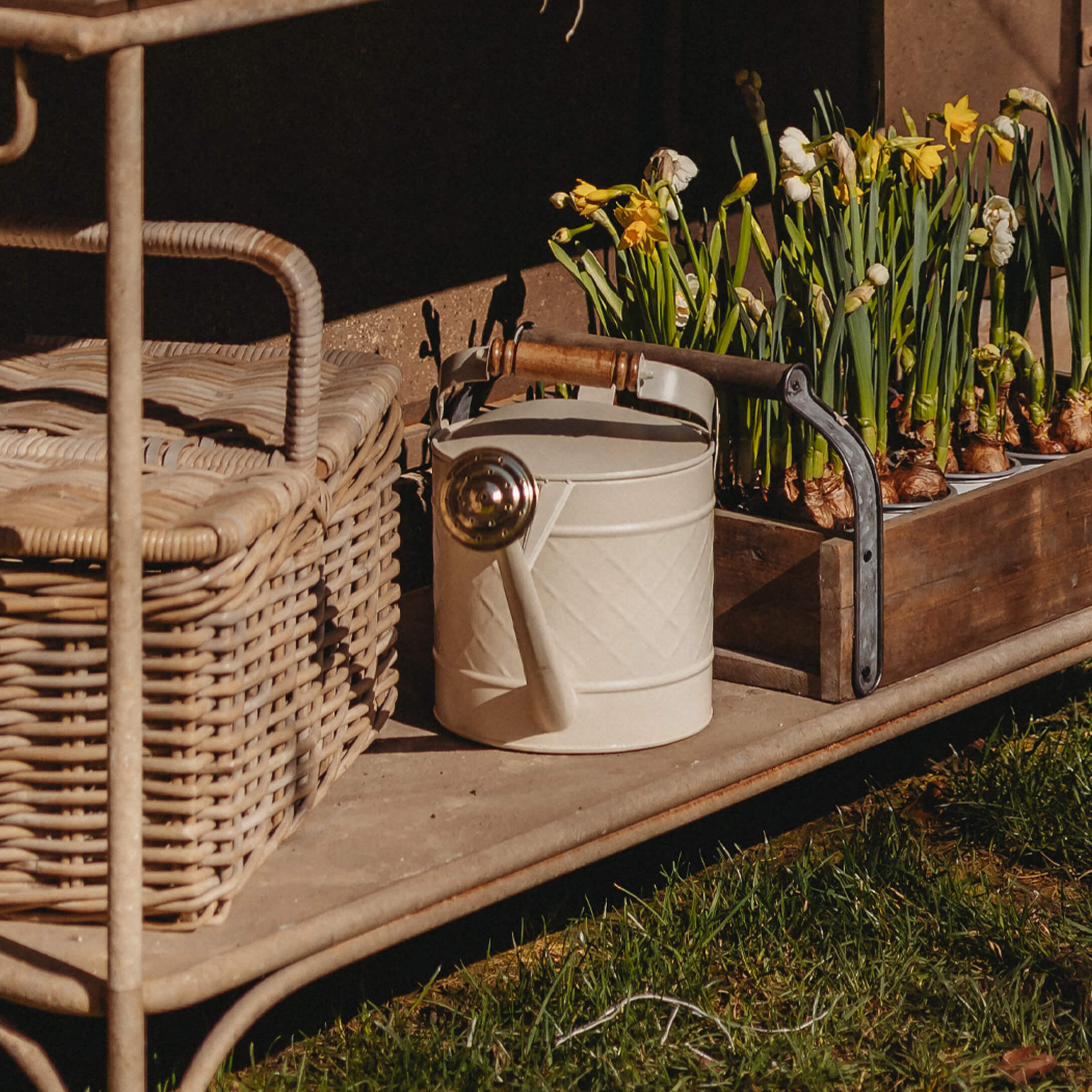 Witte metalen gieter met houten handvat naast rieten mand en potten met gele bloemen