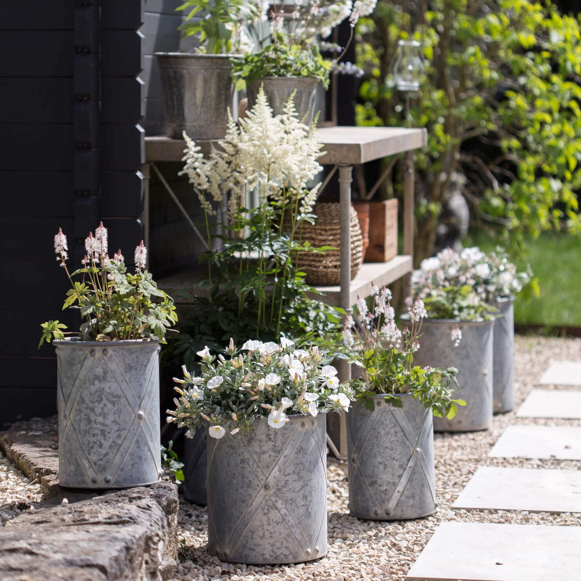 Grijze metalen bloempotten met witte bloemen op stenen ondergrond in tuin