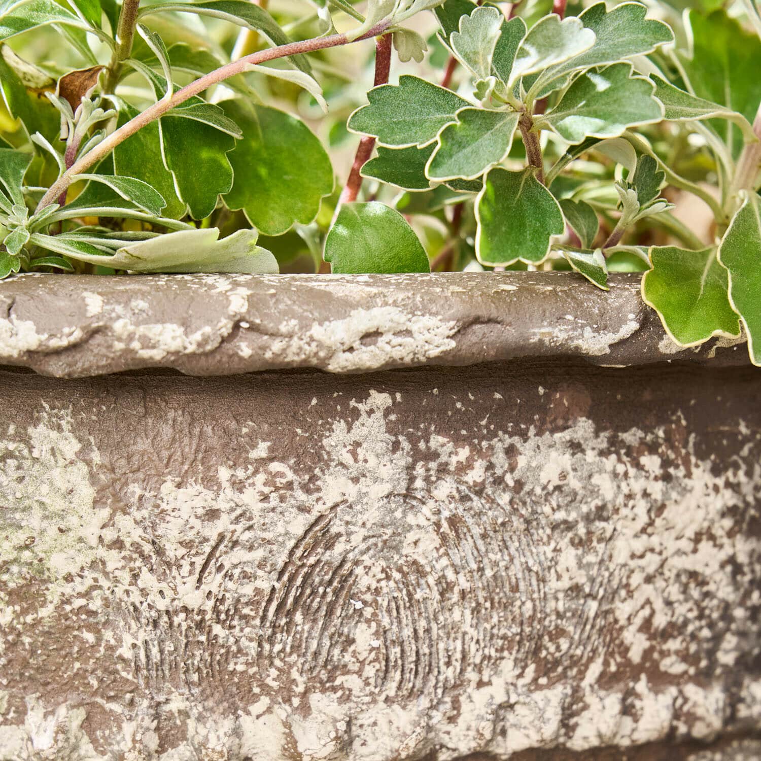 Sierpot set van 2 Montérise