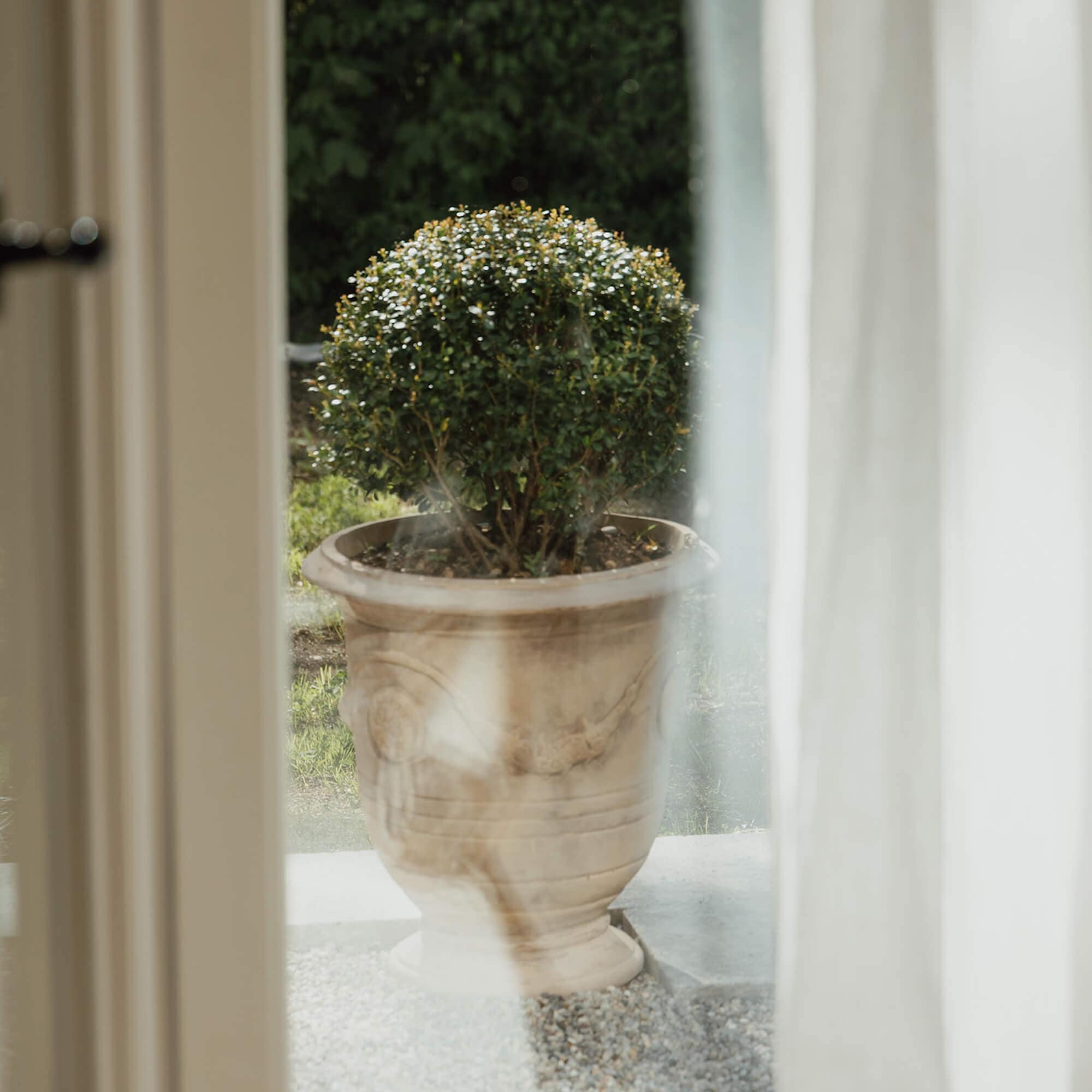 Decoratieve lichte stenen bloempot met groene struik voor een huis
