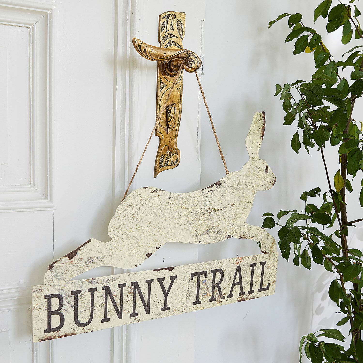 Decoboard Bunny Trail
