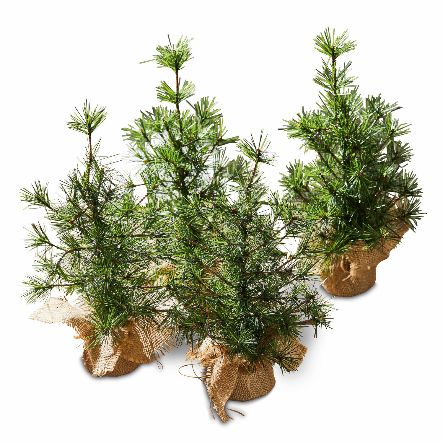 Sierboom set van 4 Millies Kleine groene dennenbomen in jute zakken voor kerstdecoratie