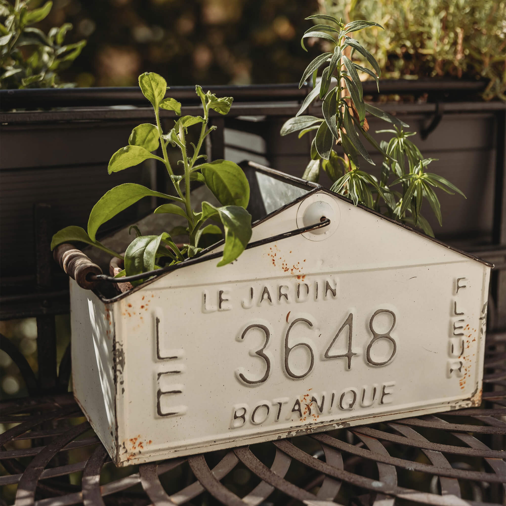 Witte metalen plantenbak in huisvorm met planten, rustieke tuindecoratie met patina