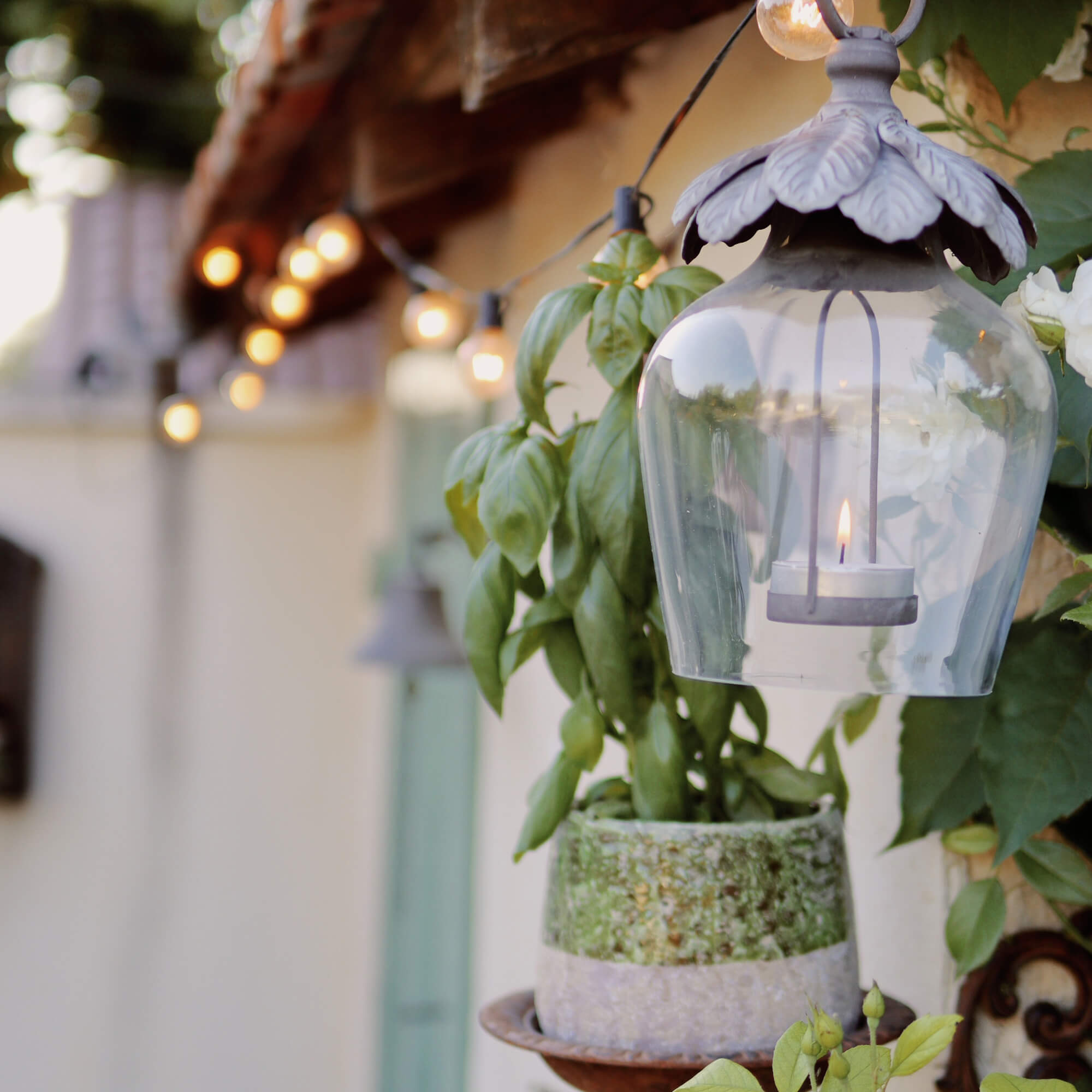 Glazen lantaarn met metalen houder en brandende kaars naast bloempot met groene bladeren buiten