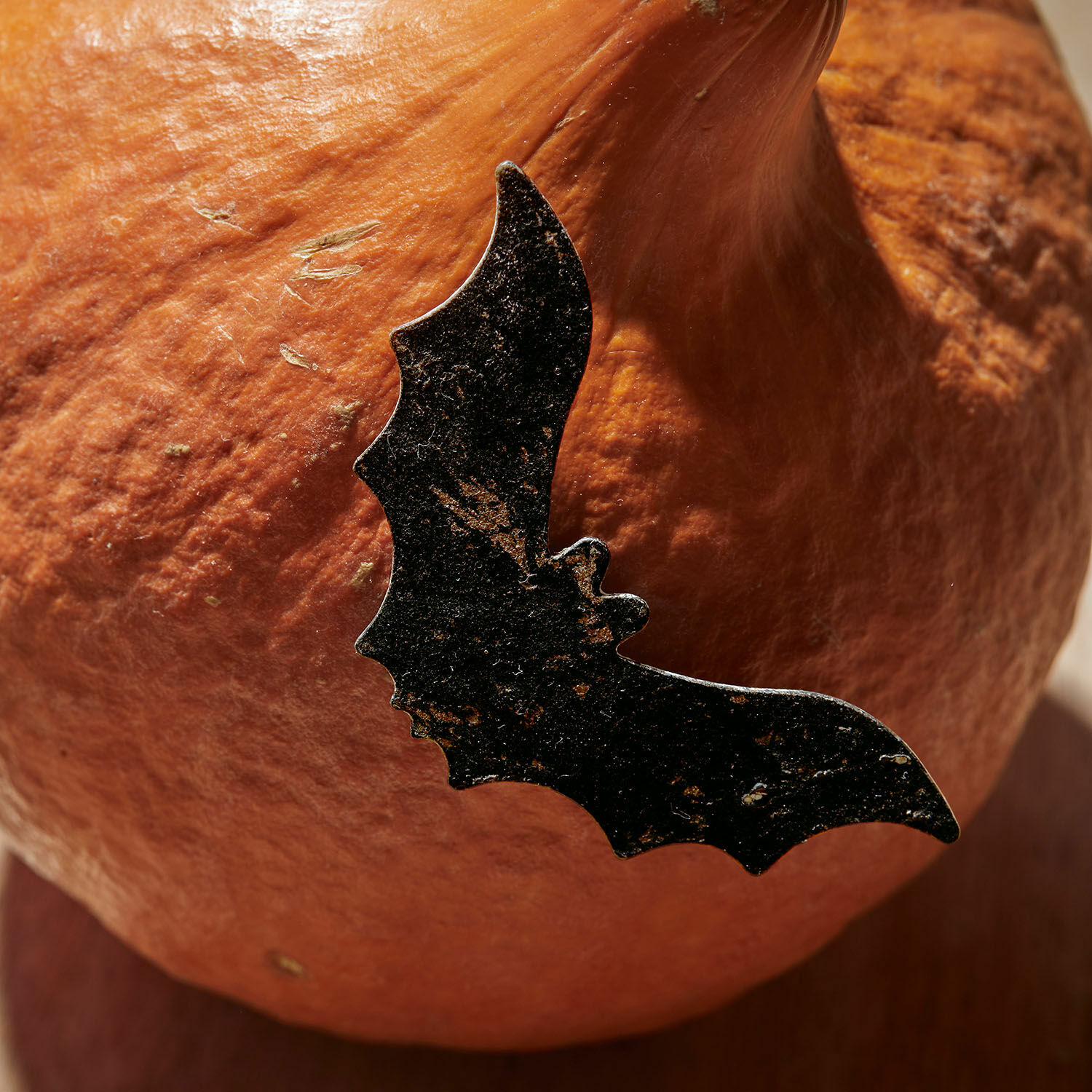 Decoratiepin set van 6 Blenoir