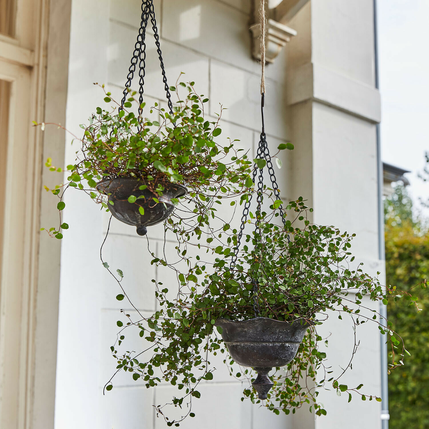 Hangende metalen plantenbakken in vintage stijl met groene planten, tuin- en terrasdecoratie