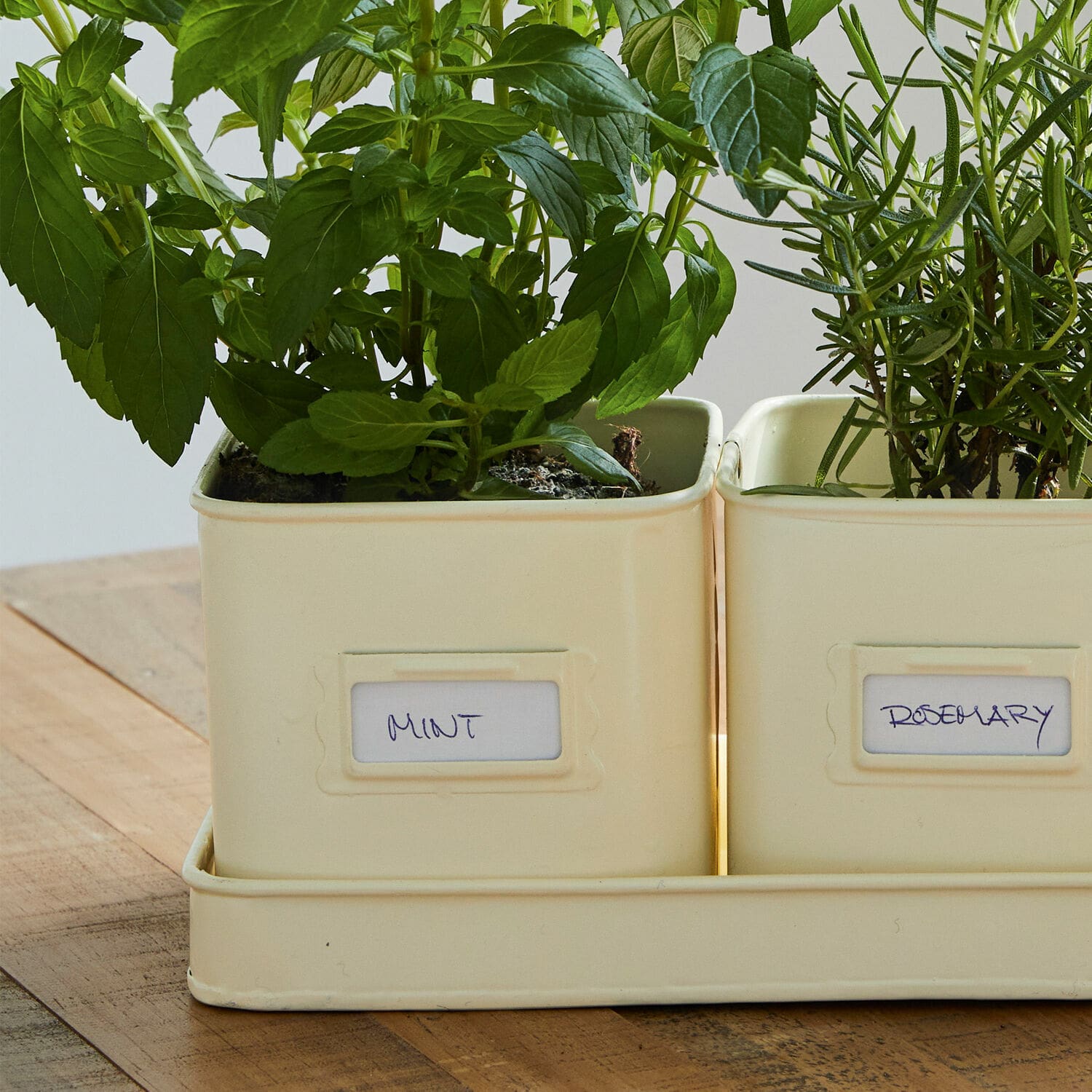 Sierpot set van 3 Lievens