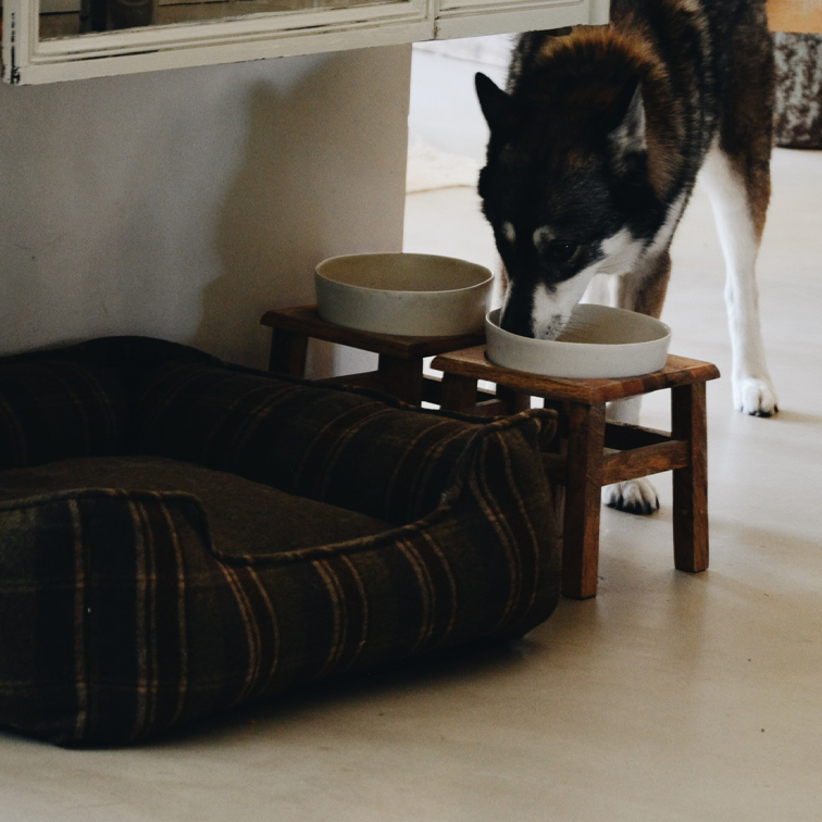 Hond drinkt uit keramische kom op houten standaard naast bruine stoffen hondenmand