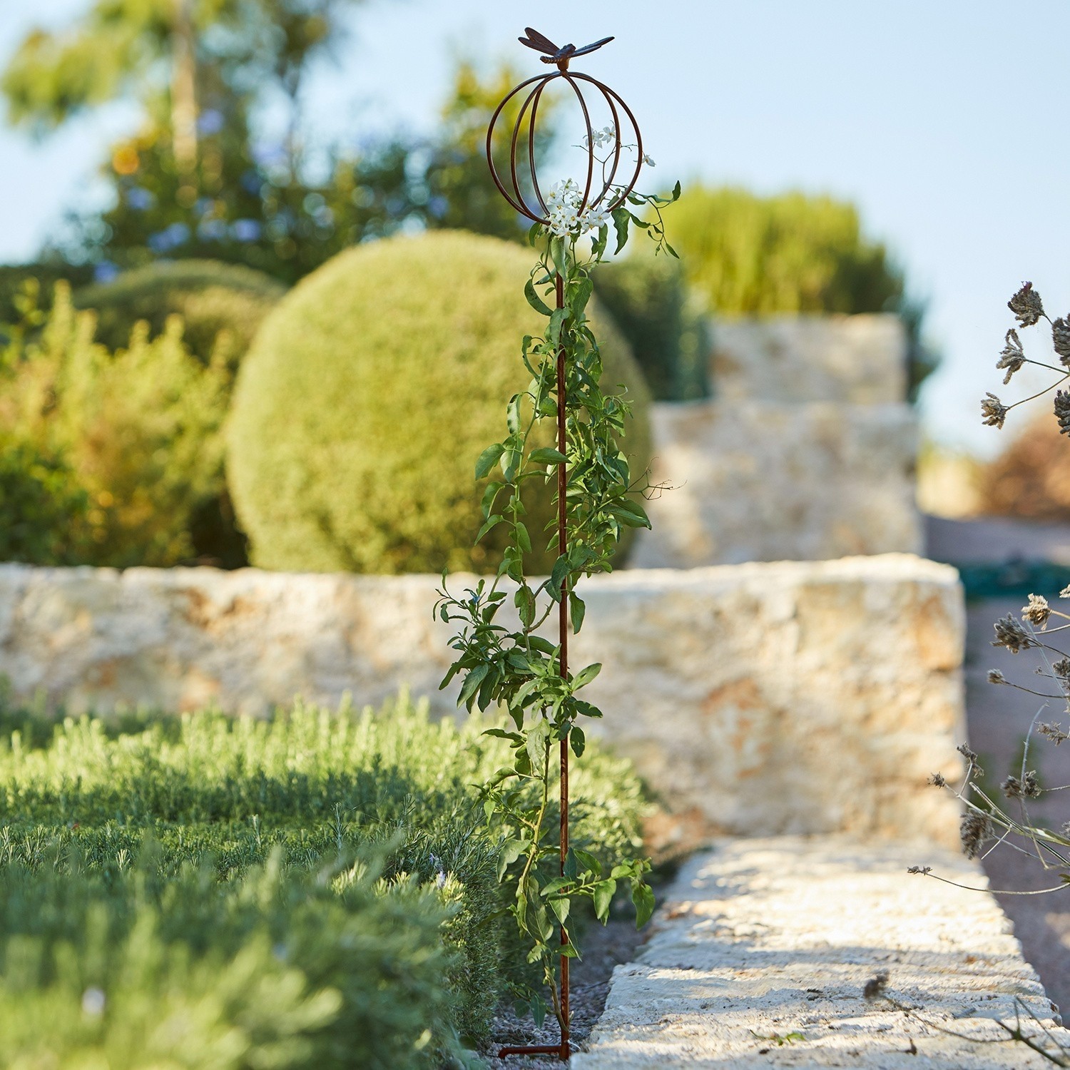 Tuinsteker Libelle Metalen plantensteun met roestkleur en vlinder, decoratieve klimsteun voor tuinplanten