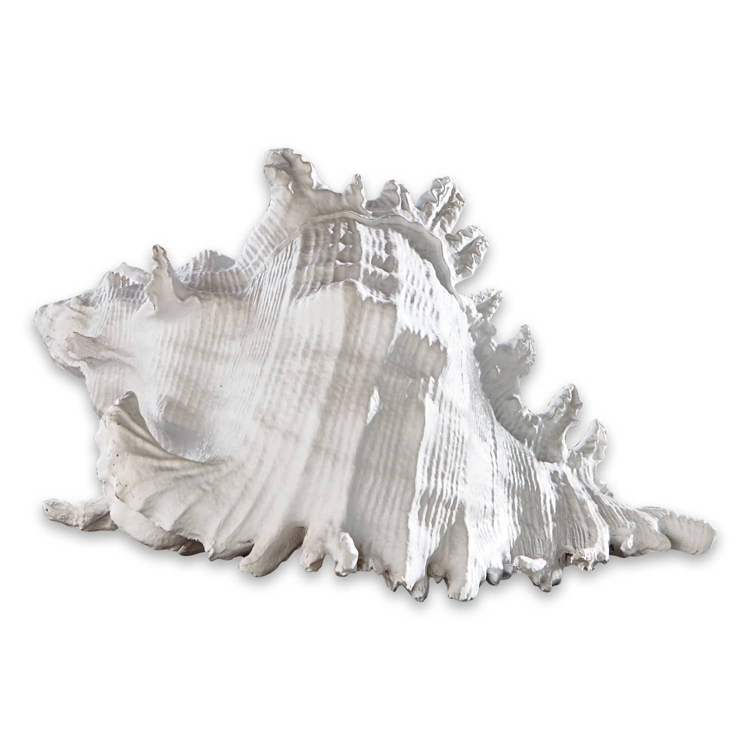 Schelp Mariola