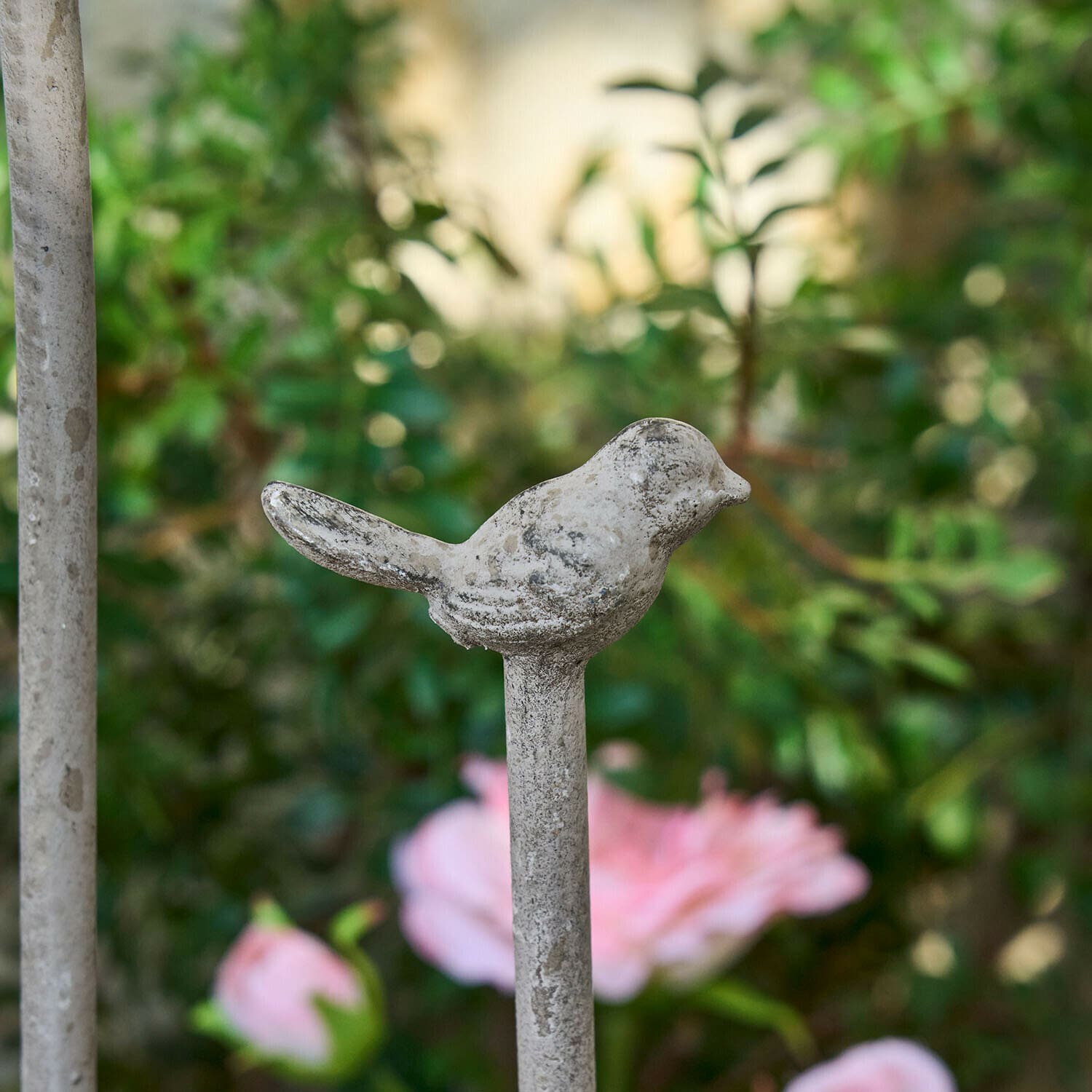 Plantensteun Ormisse