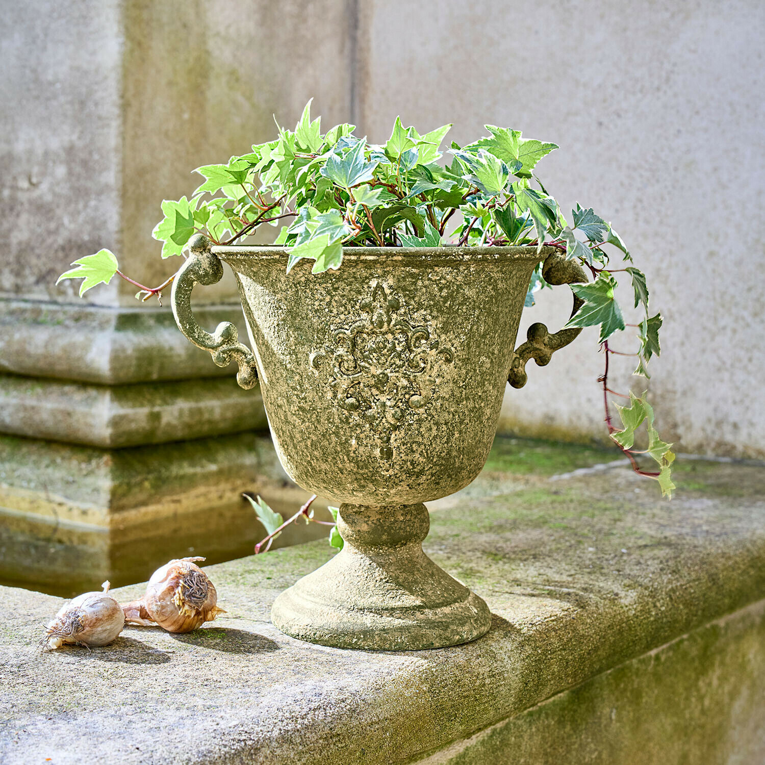 Decoratieve groen verweerde bloempot met klimopplant op stenen buitenoppervlak