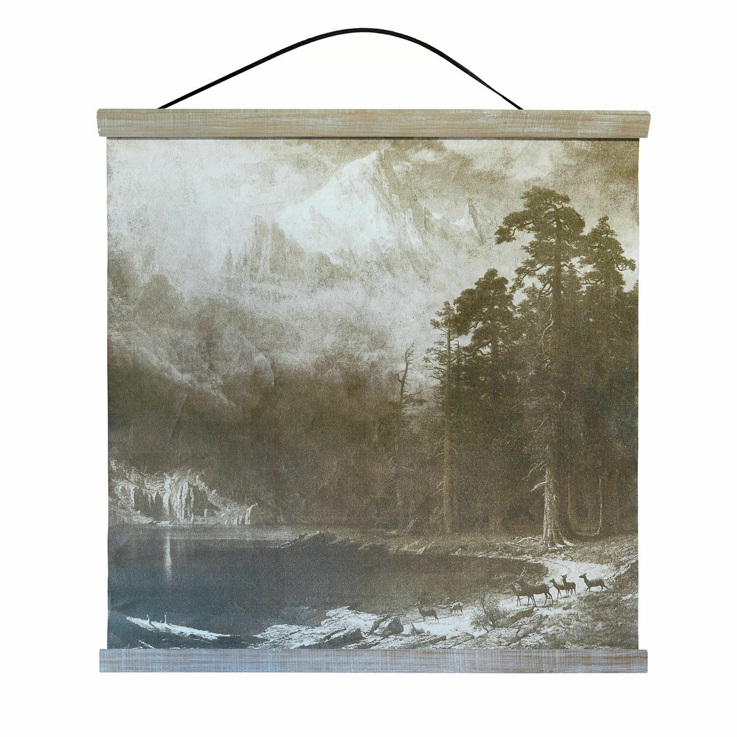 Afbeelding Belle Horizon