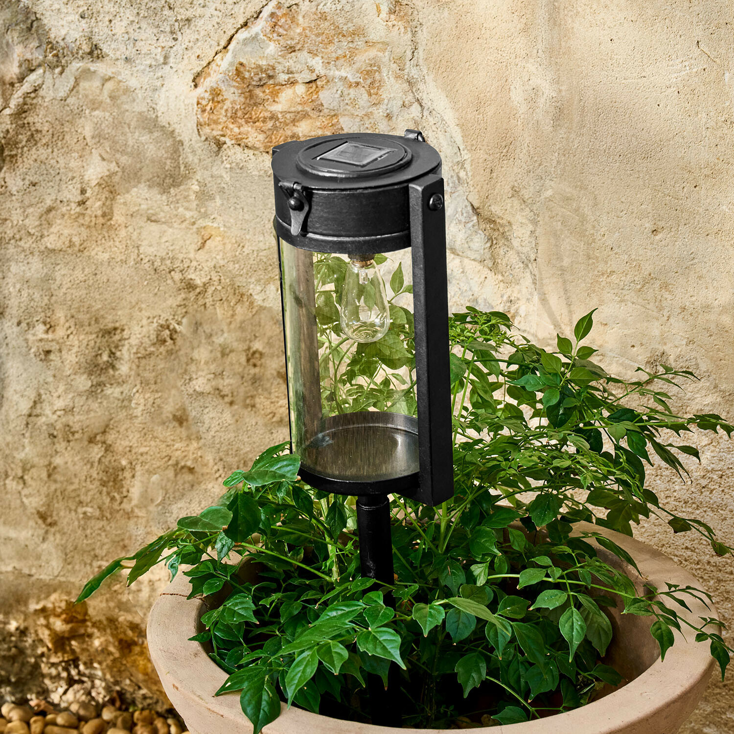 Zwarte metalen tuinlamp met doorzichtige kap tussen groene bladeren voor een stenen muur