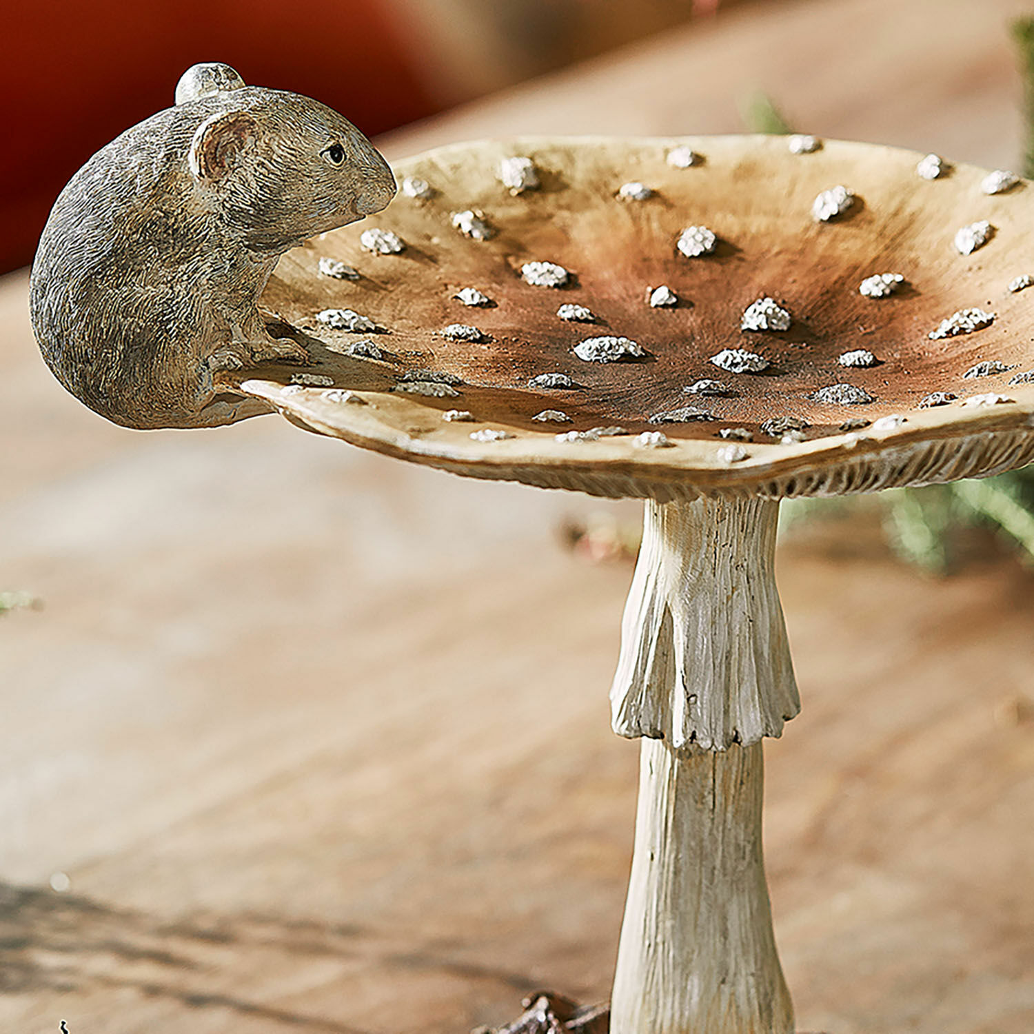 Sierpaddenstoel Isolise