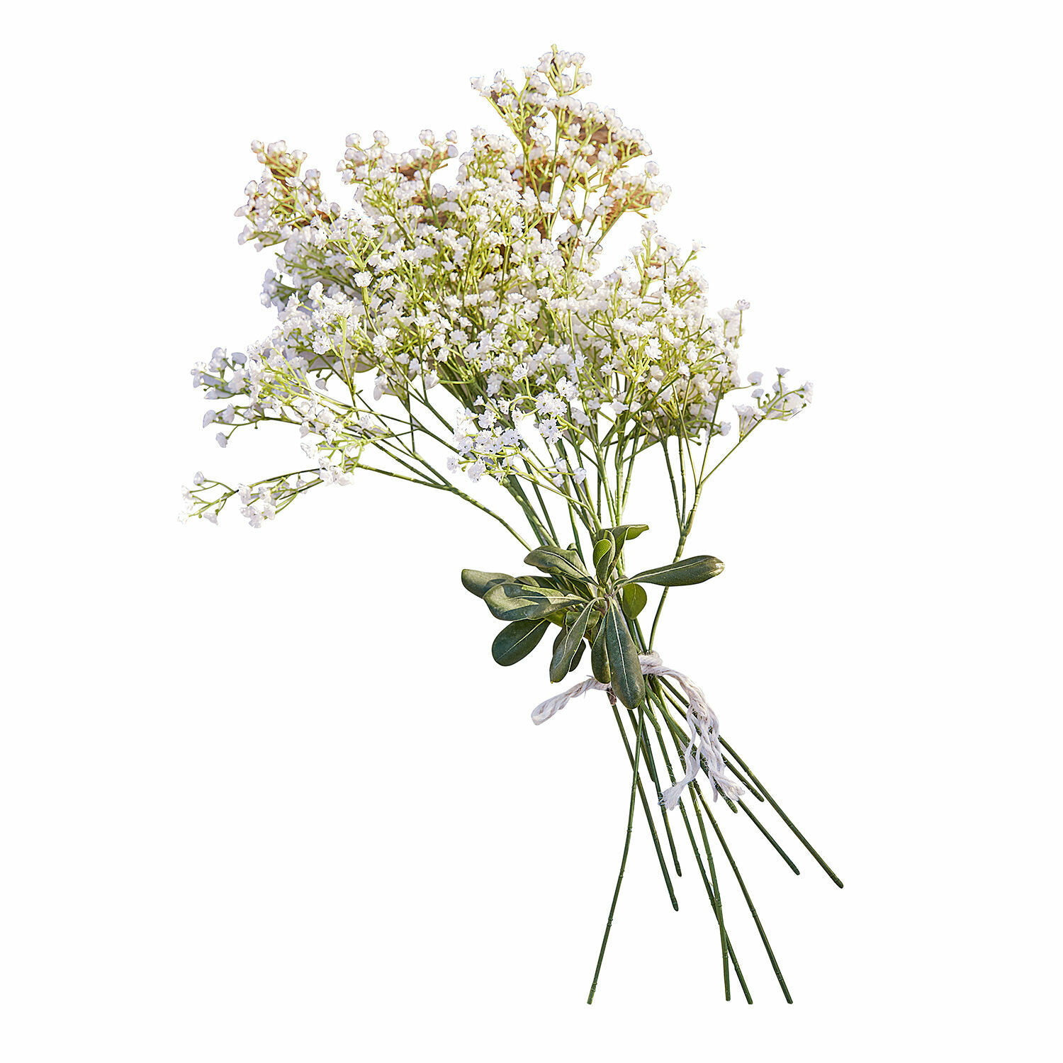 Boeket witte decoratieve bloemen met groene bladeren en lange stelen voor interieurdecoratie