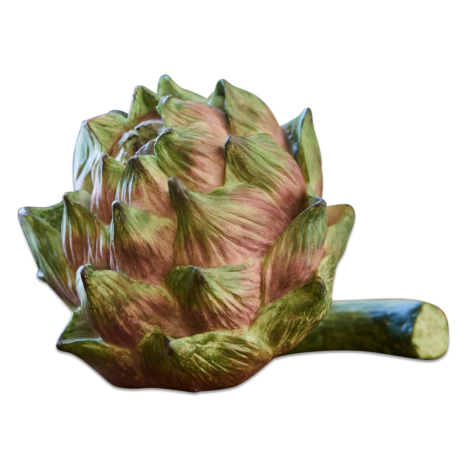 Decoratieve artisjok Myka