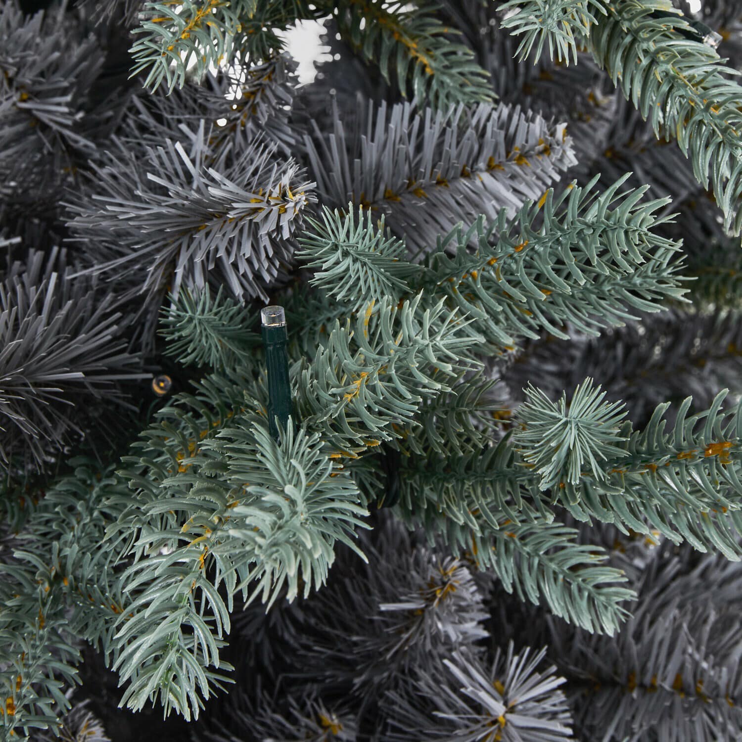 Ledkerstboom Lenodisa