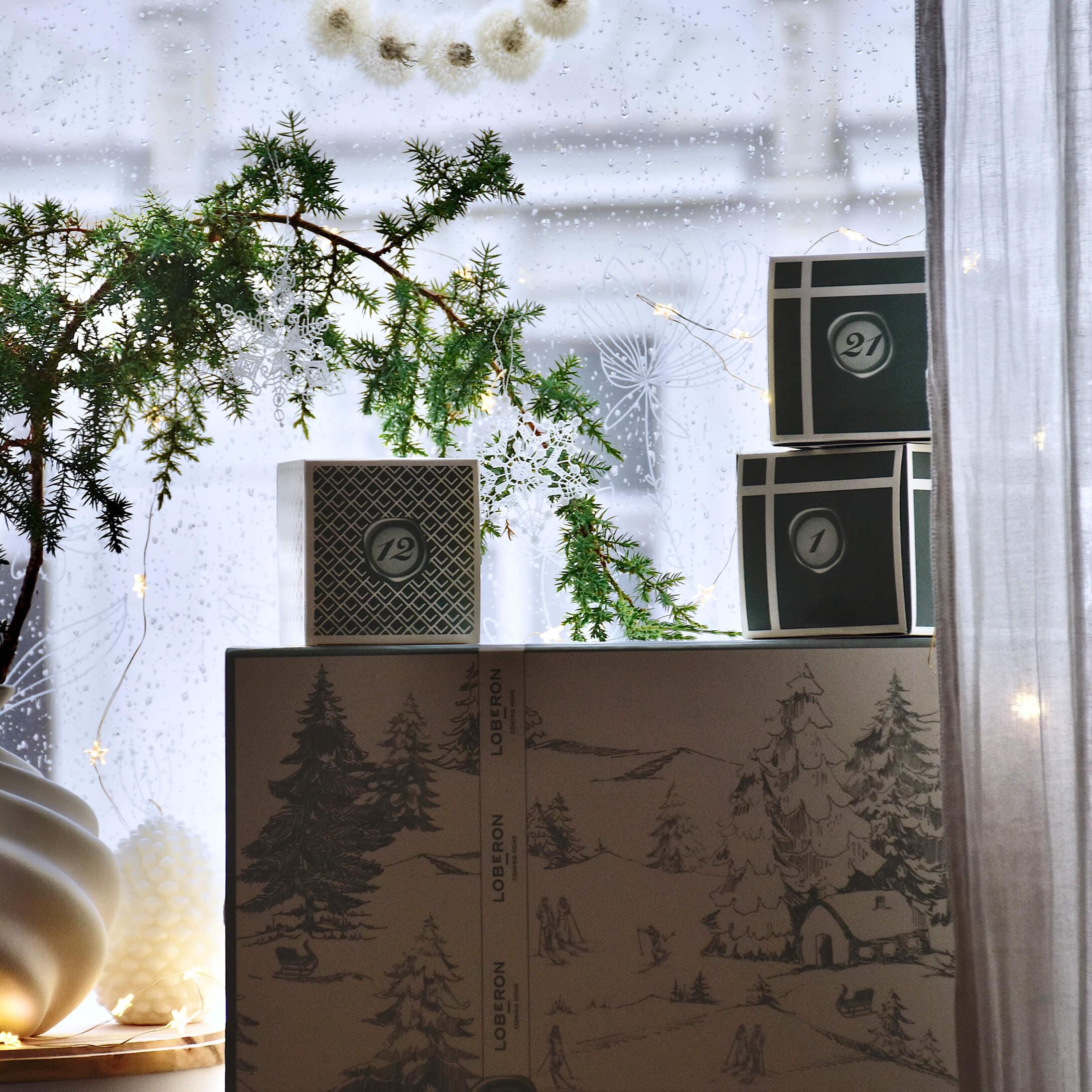 Decoratieve dozen met wintermotief en groene tak met witte sneeuwvlokken voor een regenachtige raam