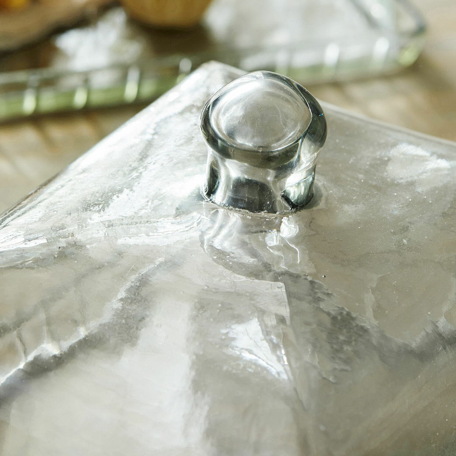 Glazen stolp met plateau Termes