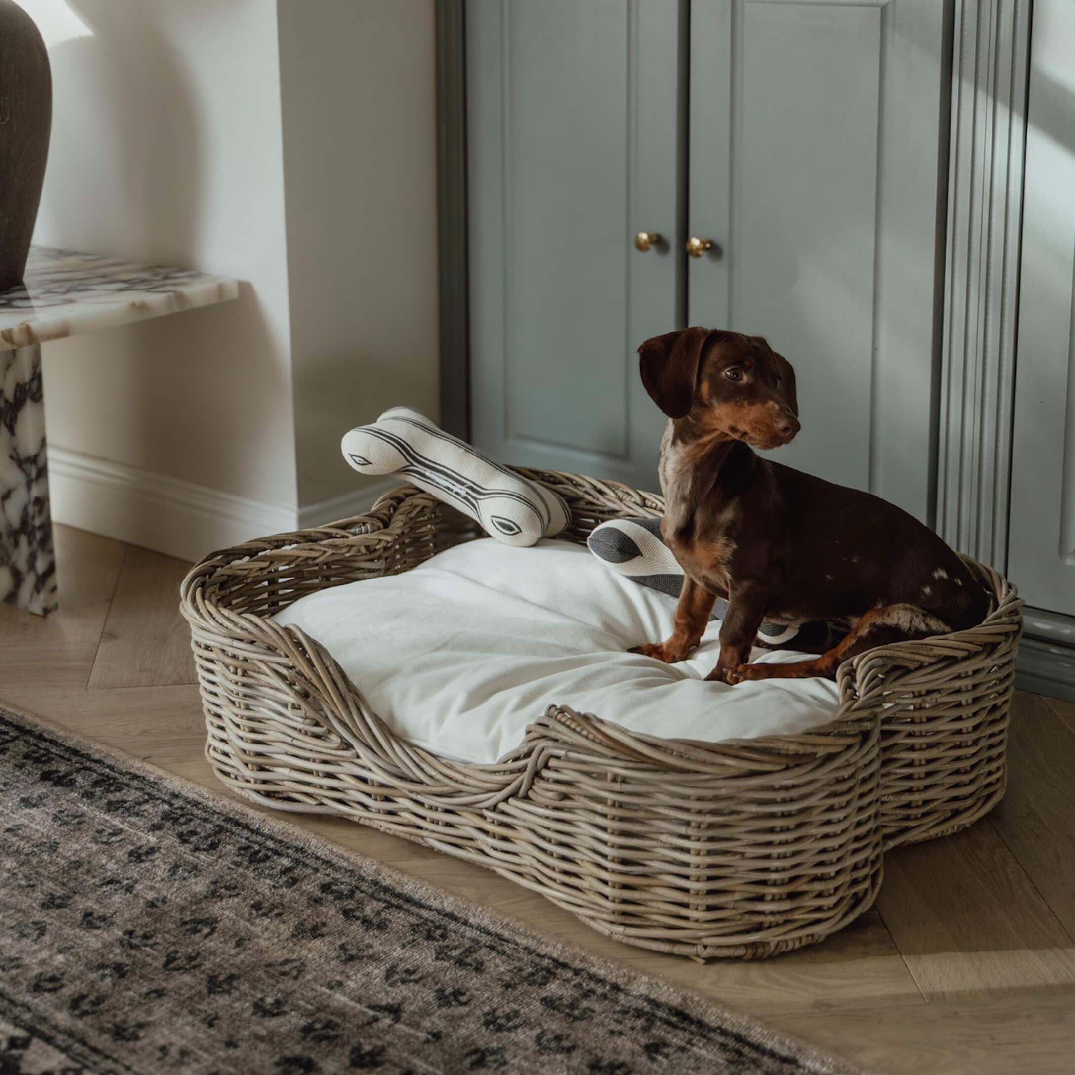 Tevreden teckel in een mand van rotan