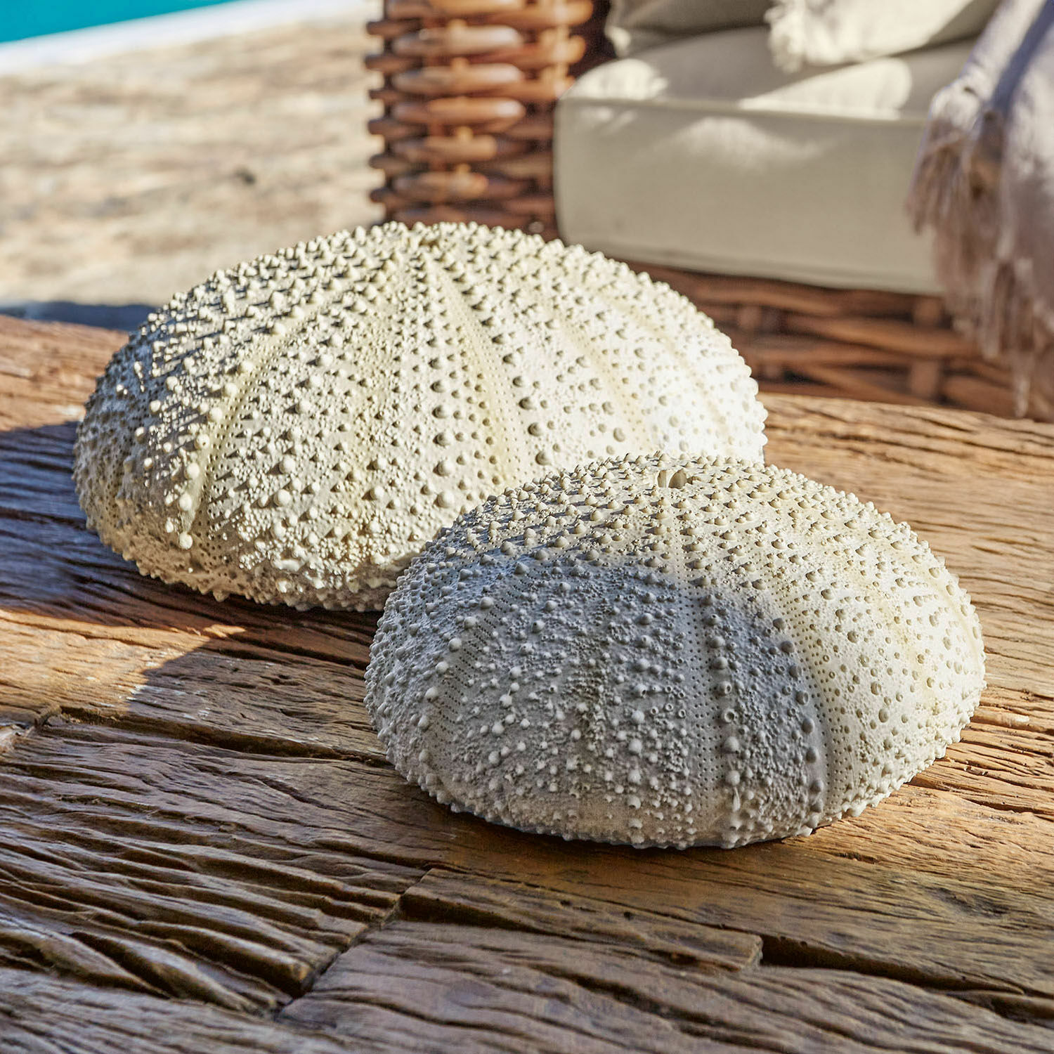 Sierzee-egel set van 2 Kimbar