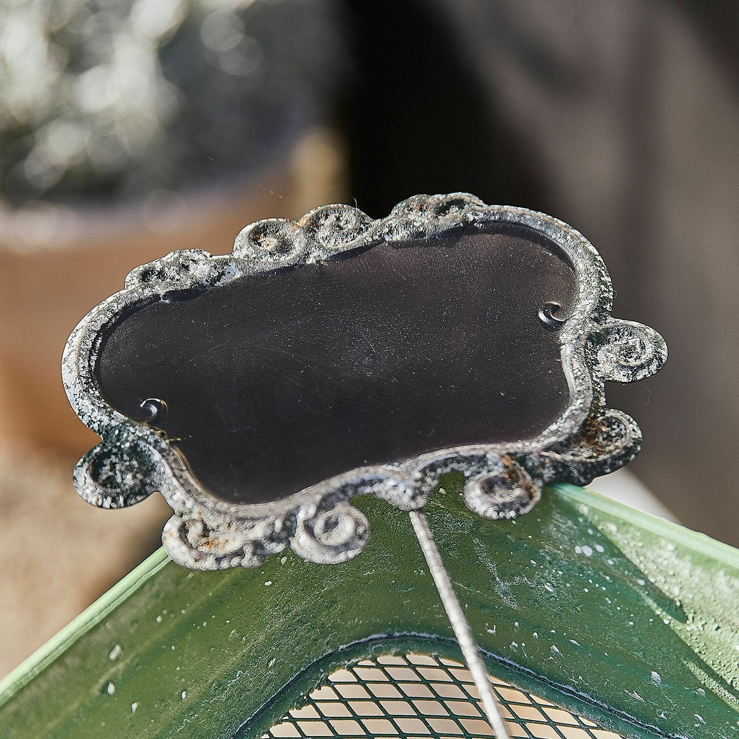 Plantensteker set van 3 Trevalin