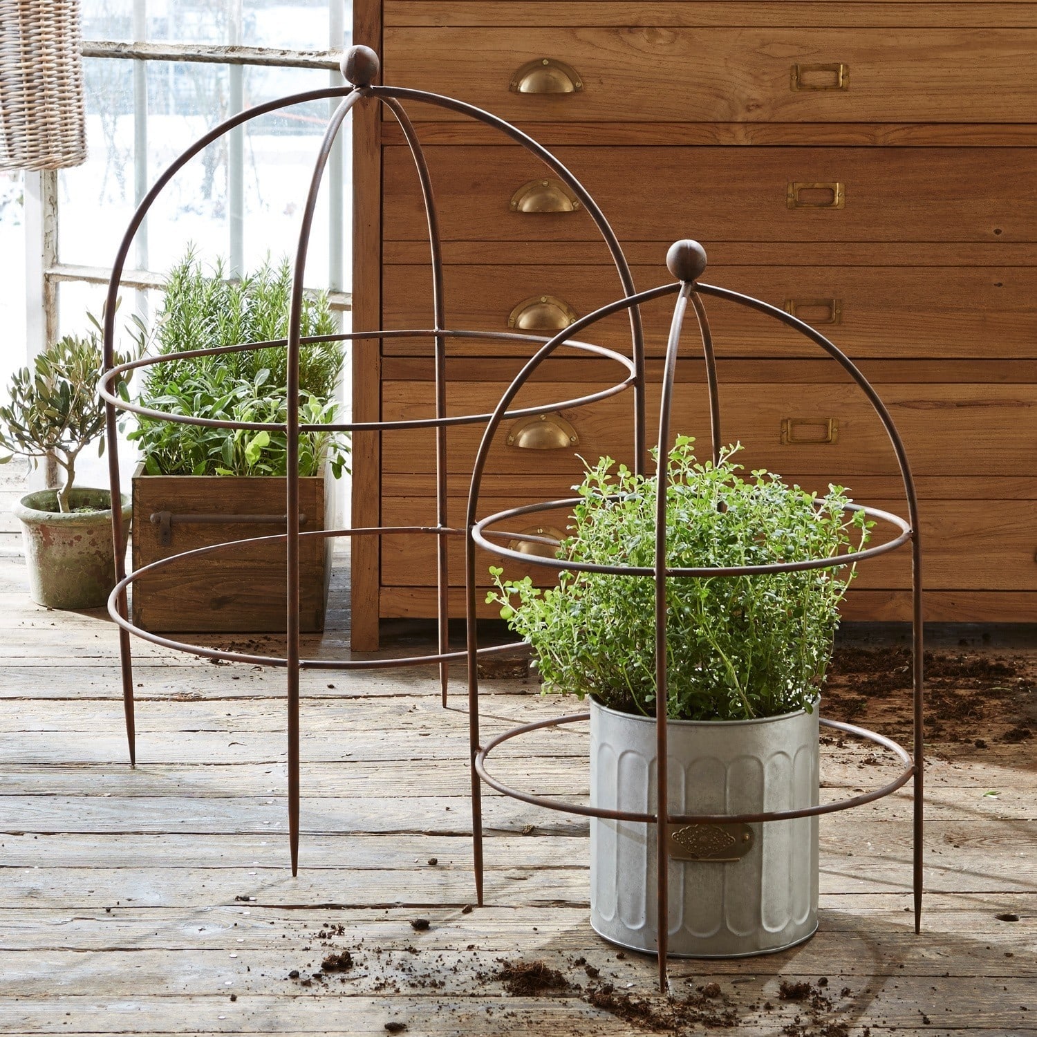 Klimplantenrek set van 2 Cristan