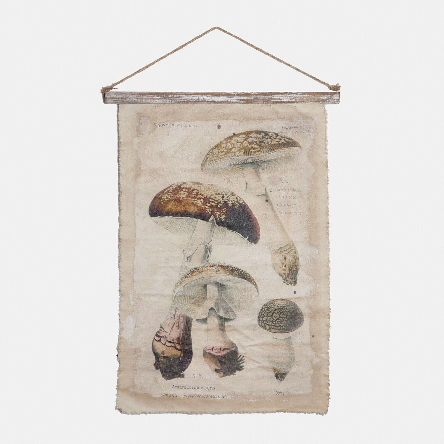 Afbeelding Rynmor Hangende canvasposter met vintage paddenstoelillustratie, natuurlijke wanddecoratie voor thuis