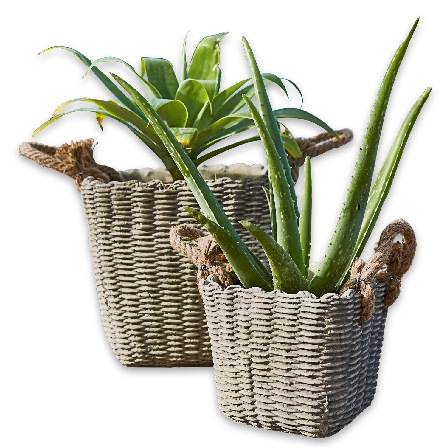 Sierpot set van 2 Palmira