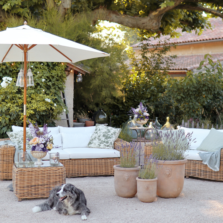 Lichtspel en lavendelgeur