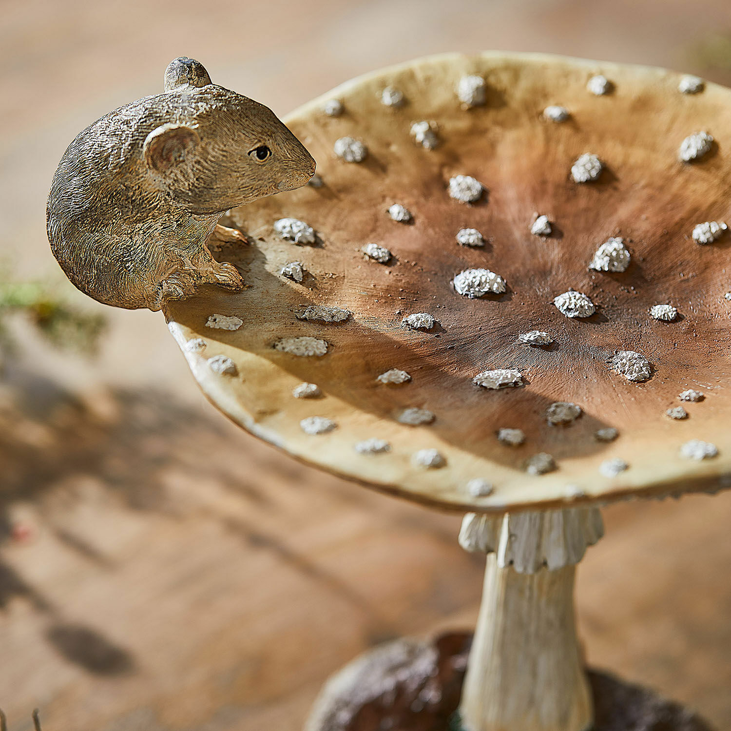 Sierpaddenstoel Isolise