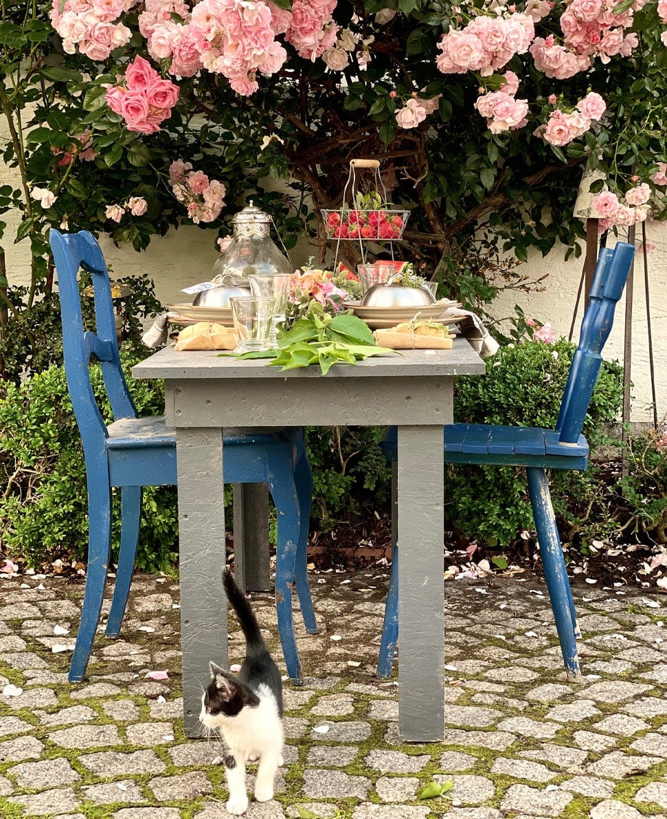 Grijze houten tuintafel met blauwe stoelen en bloemenarrangement op geplaveid terras met kat