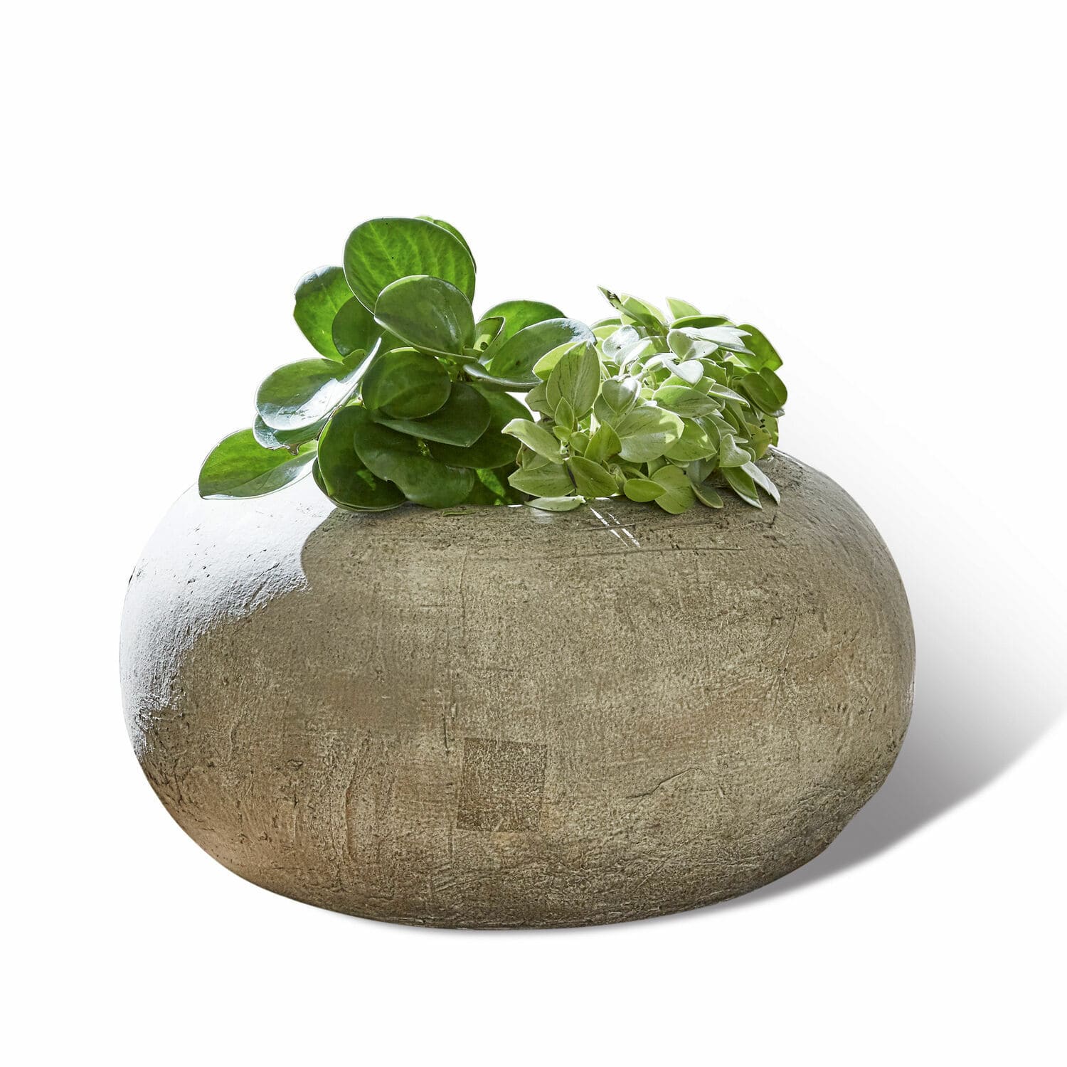 Sierpot Nidrum