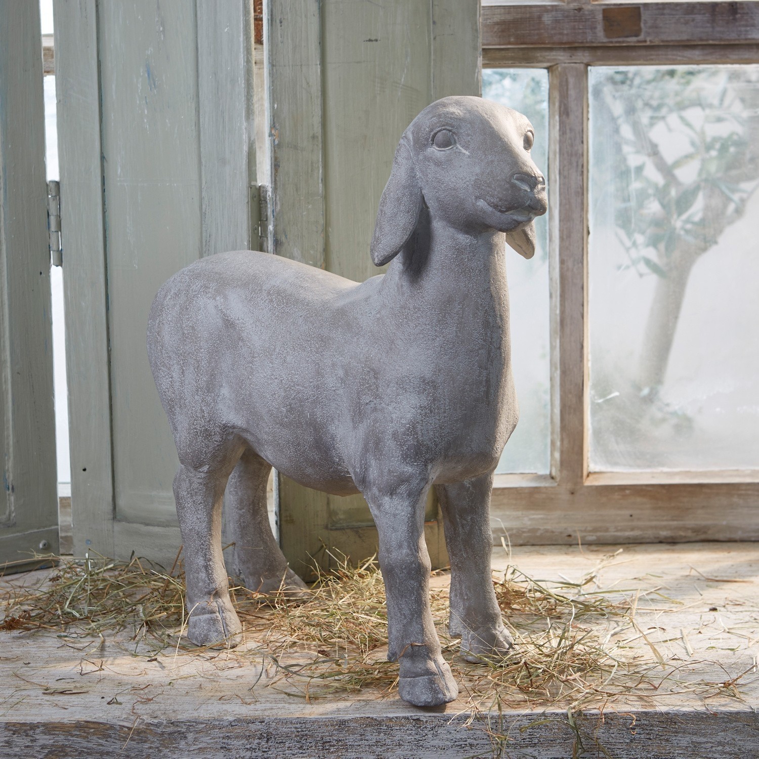 Schaap Mouton